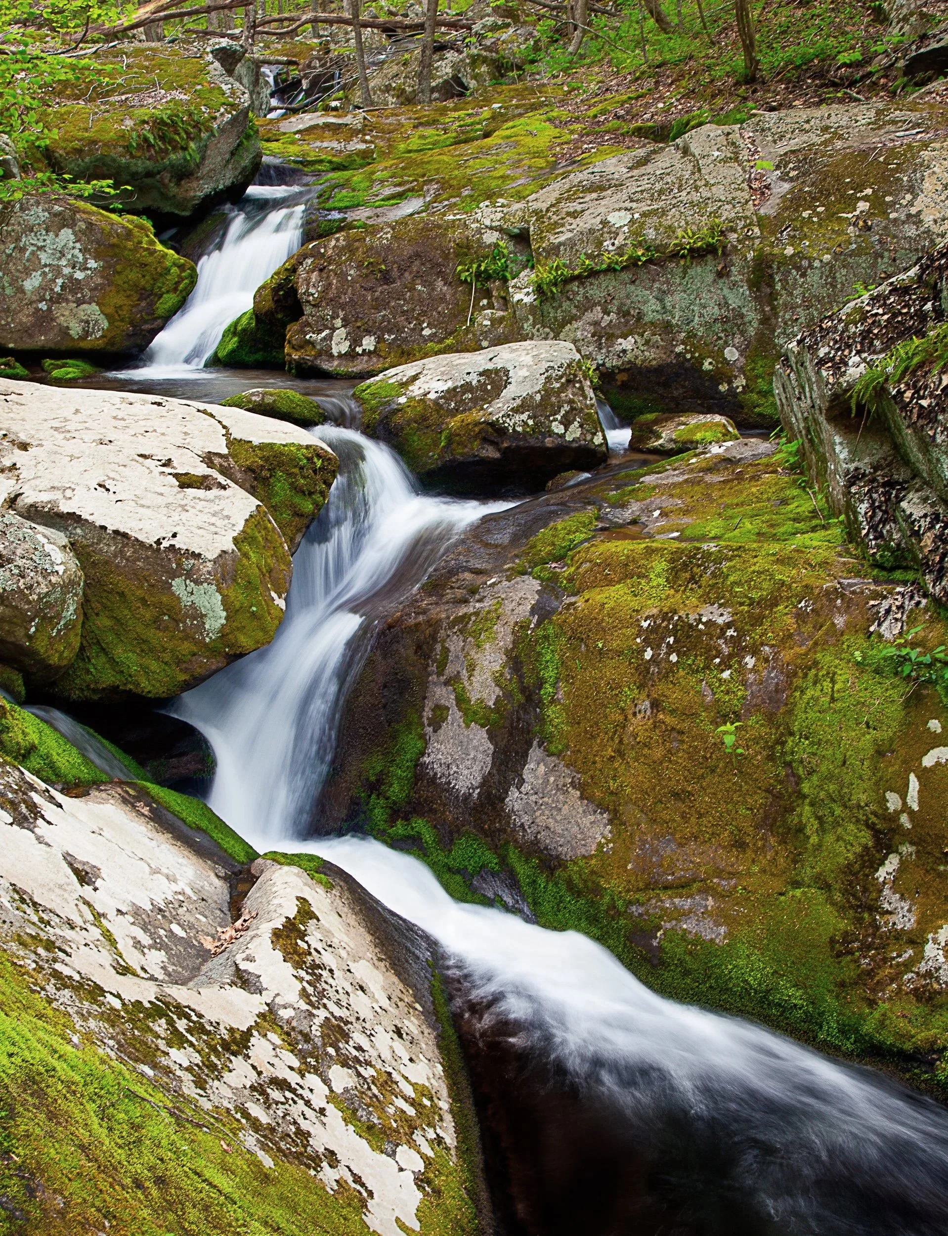 Zig Zag Falls along the Rose Run, Shenandoah National Park