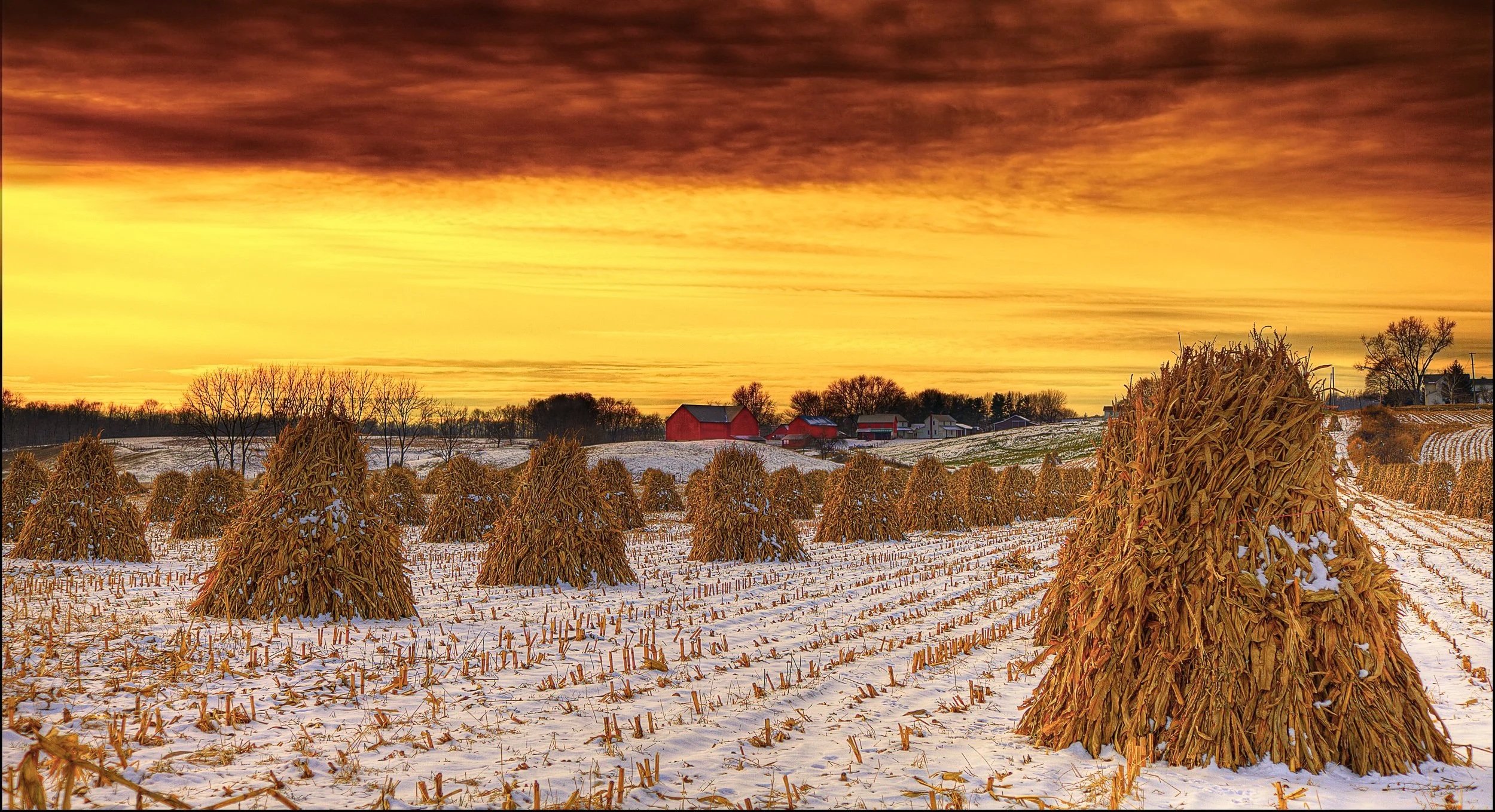 Amish Farm, Stark County, OH
