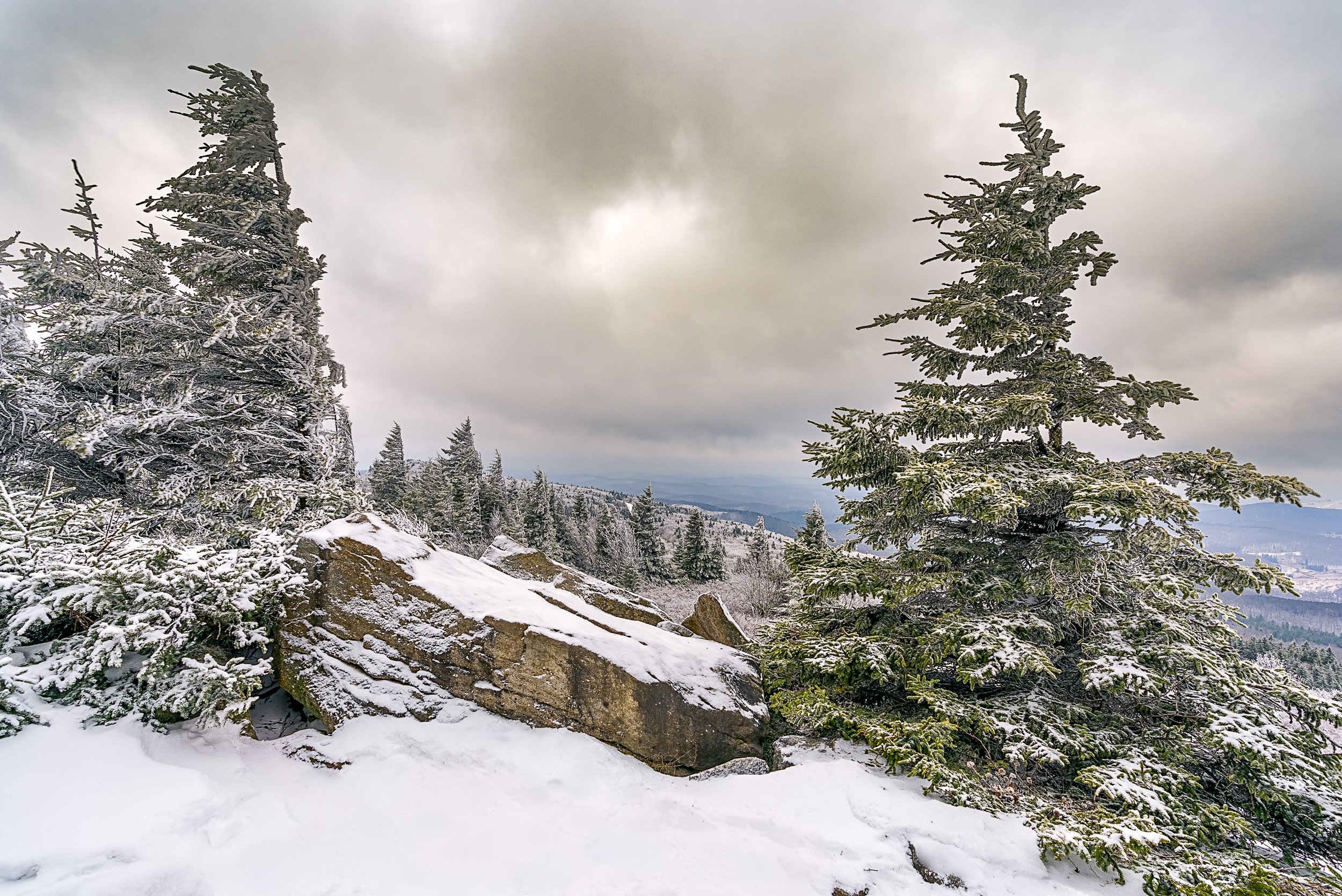 Spruce Knob, Monongahela National Forest, WV