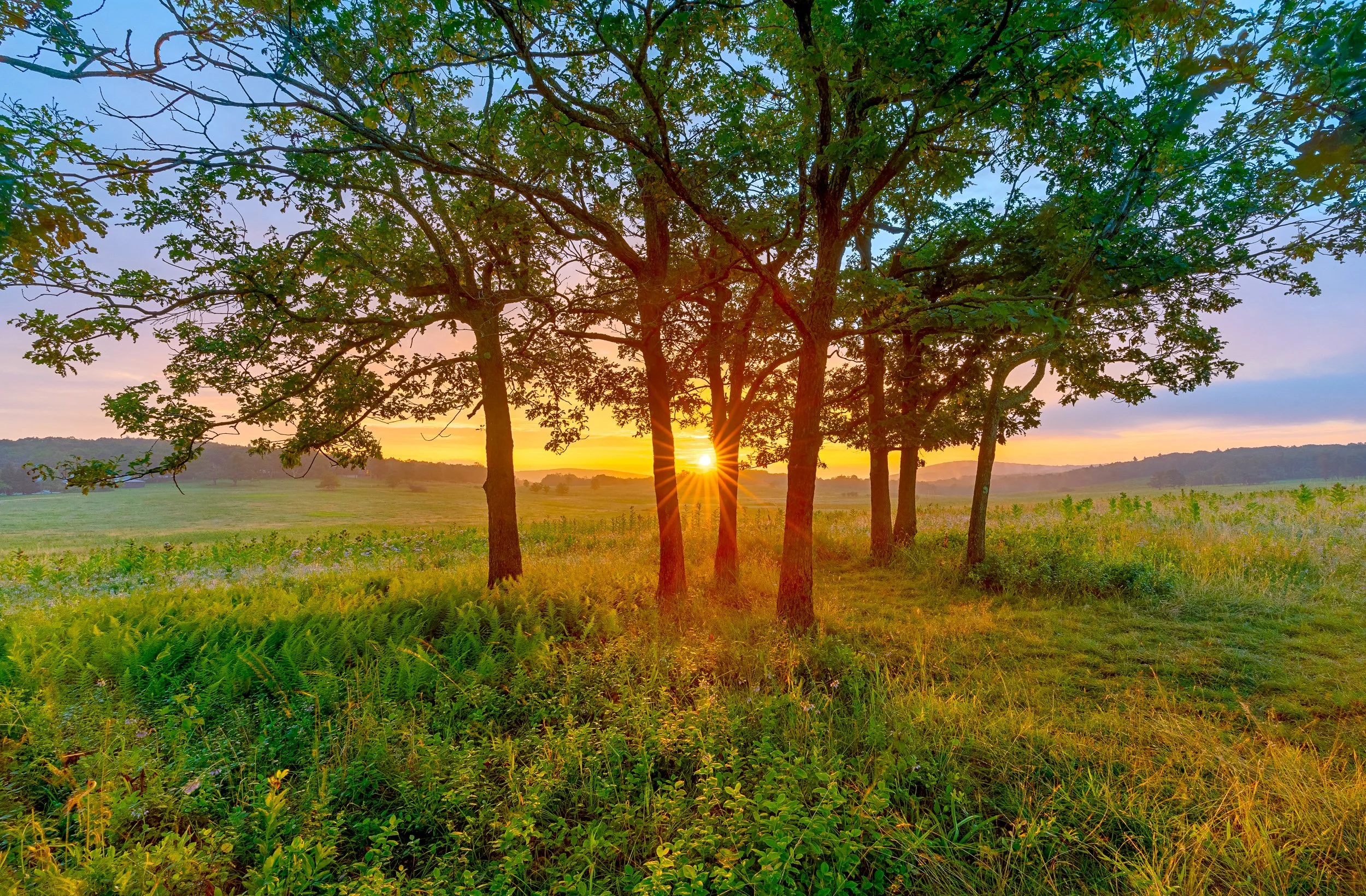 Big Meadows, Shenandoah National Park, VA