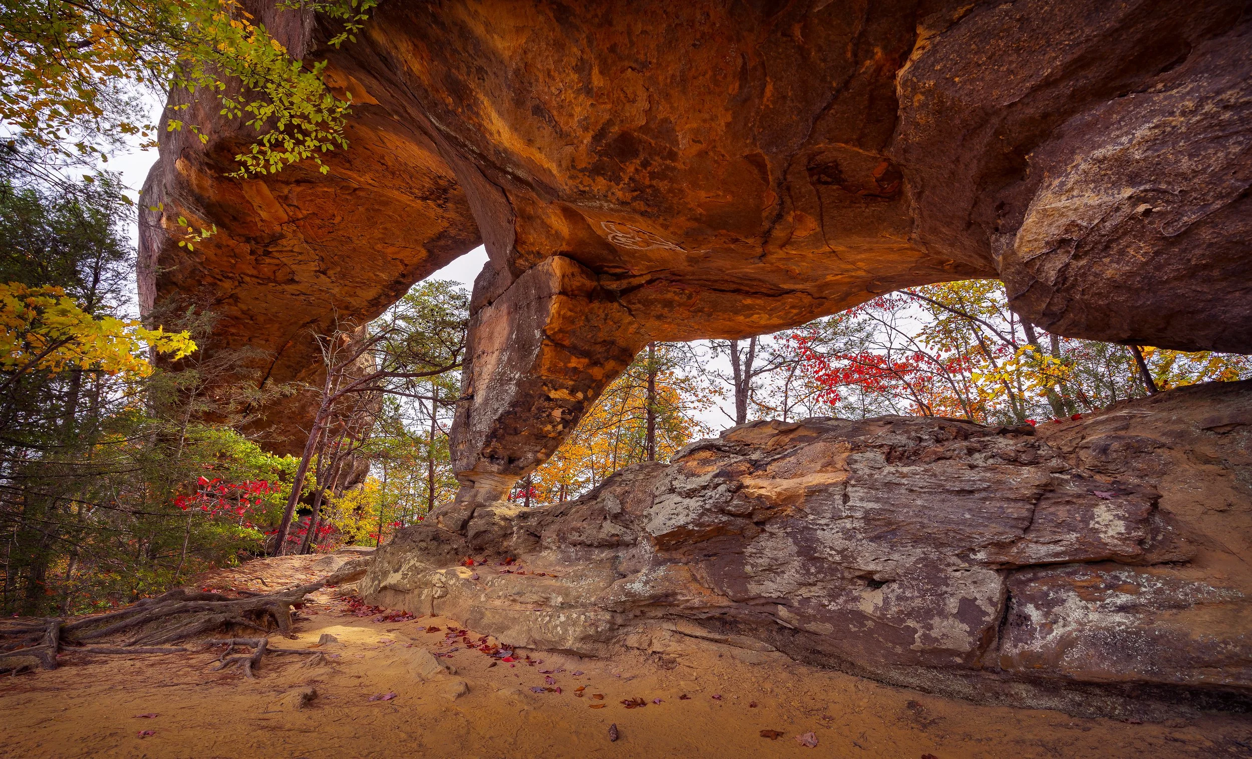 Sky Bridge, Red River Gorge NRA, Daniel Boone National Forest, KY