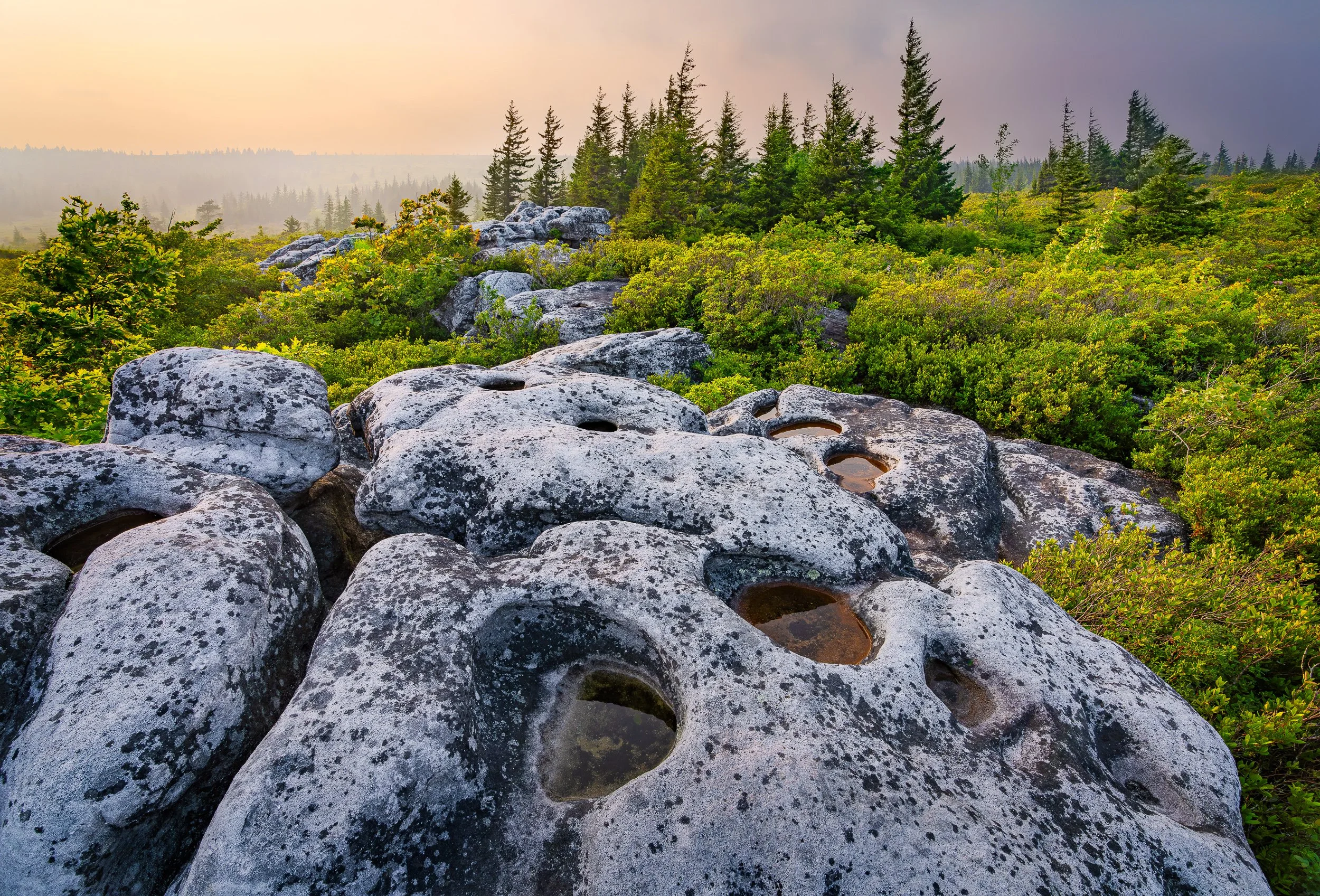  Golden Hour, Bear Rocks Preserve, WV
