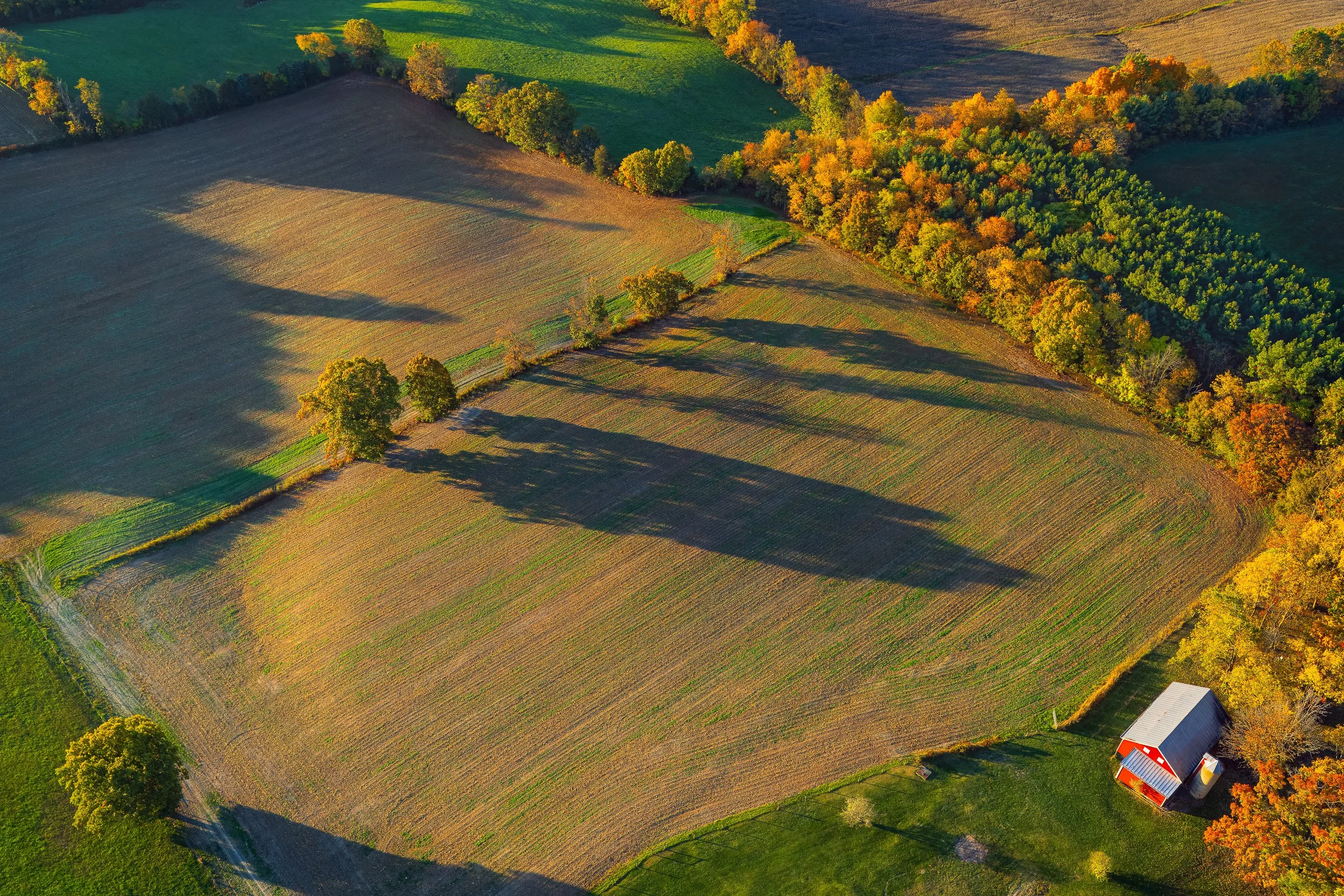 Shenandoah Valley Farm, VA