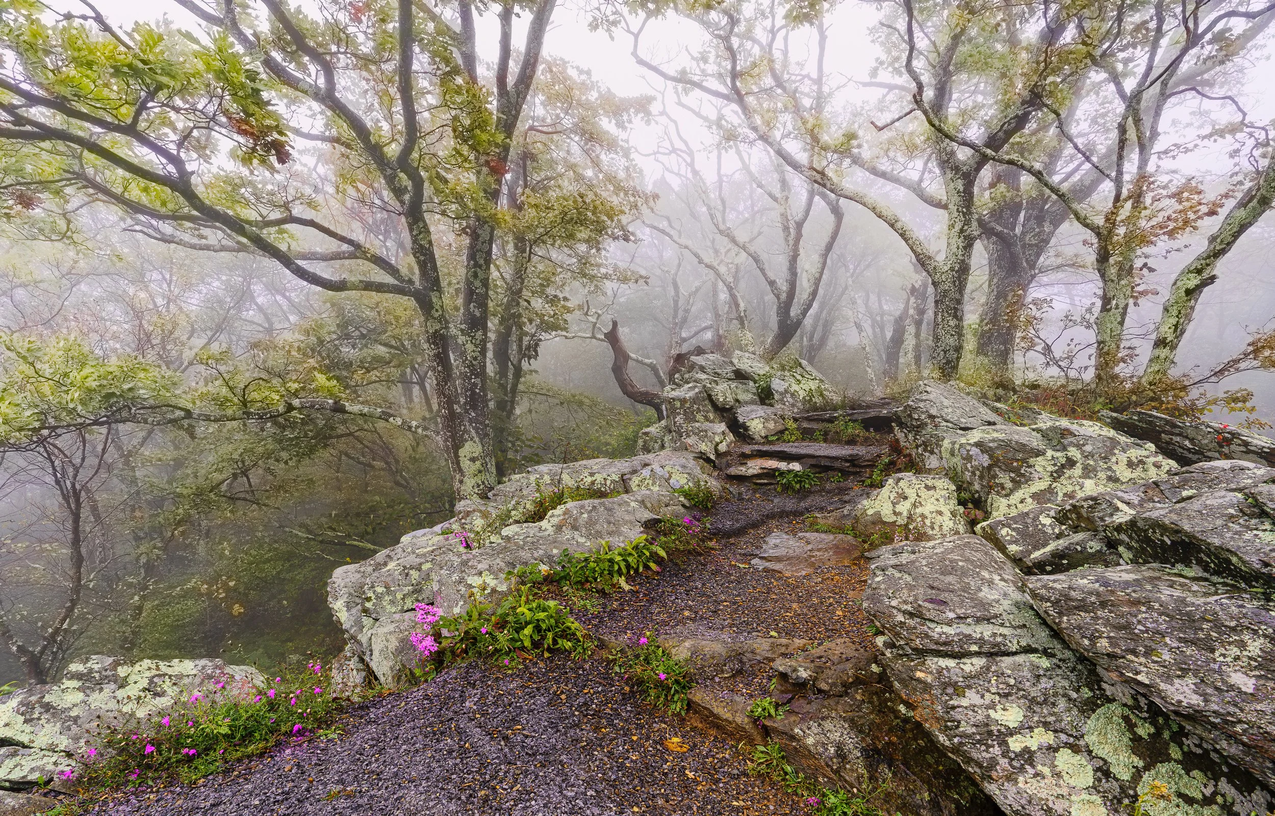 Crescent Rock Overlook, Shenandoah NP, VA