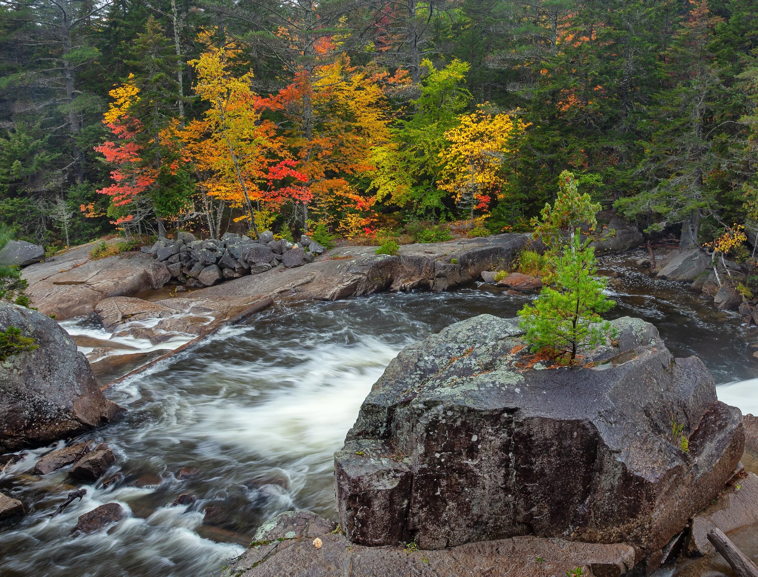 Nesowadnehunk Stream, Baxter State Park, ME
