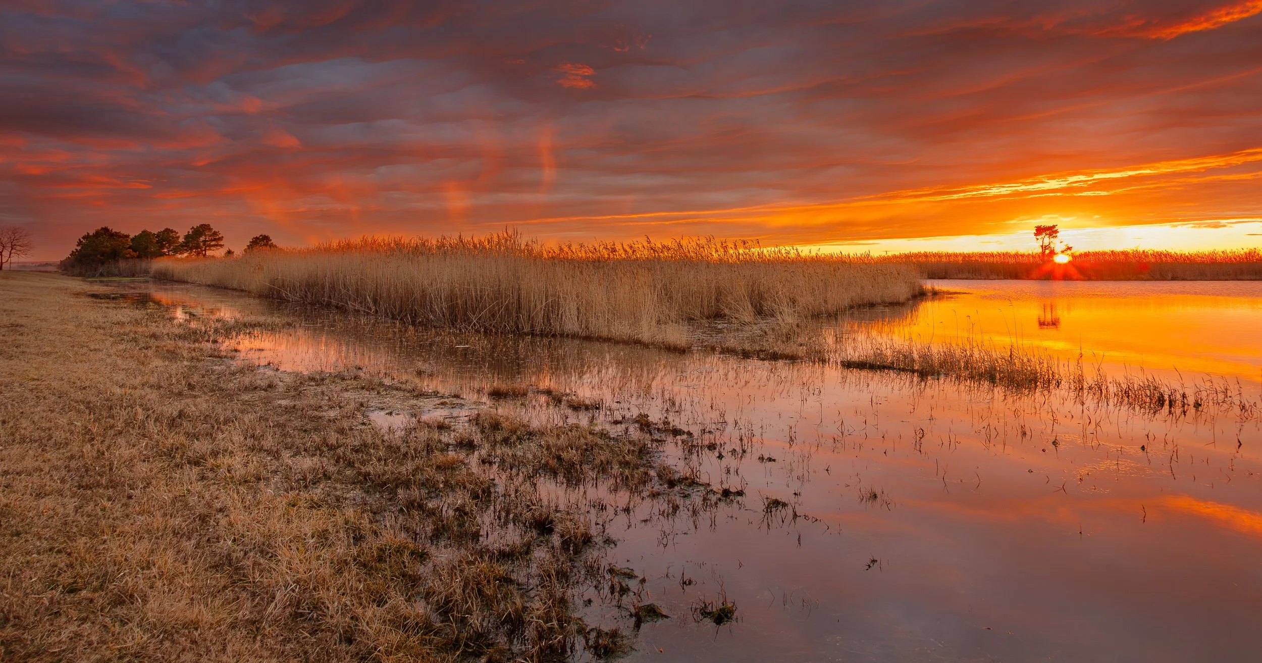 Chesapeake Bay, Point Lookout State Park, MD. 