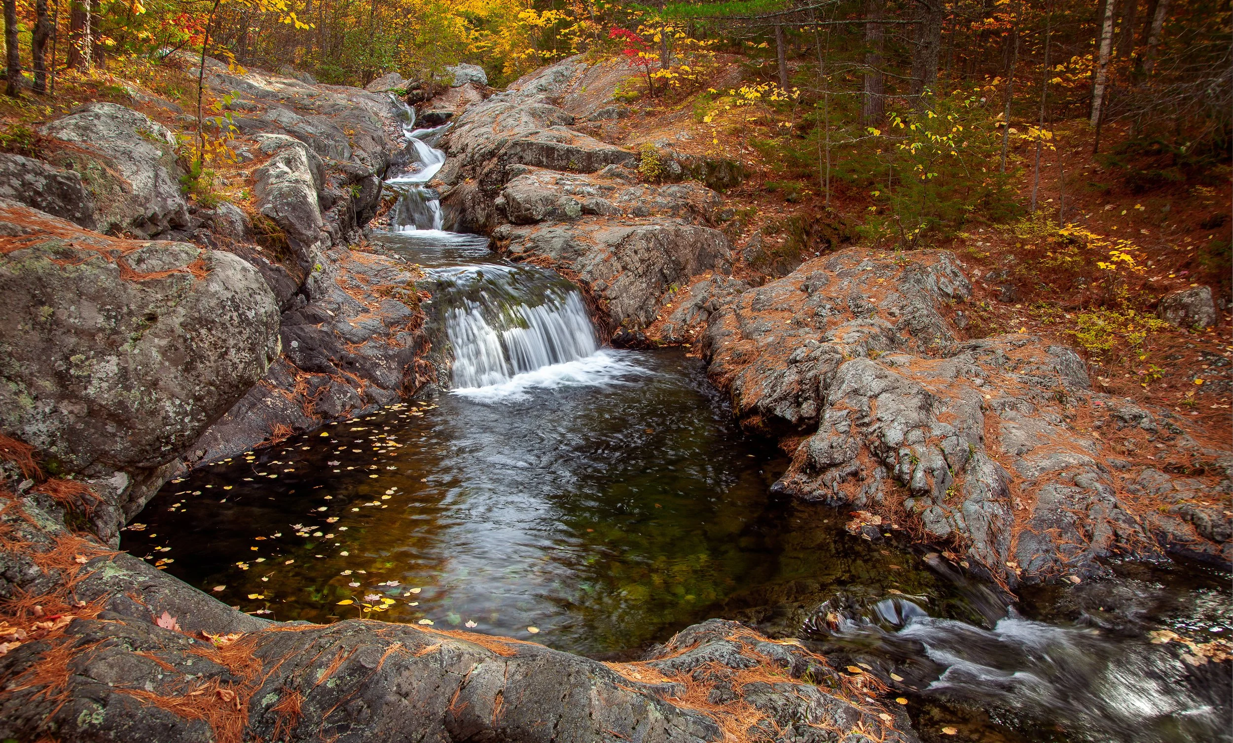 Howe Brook, Baxter State Park, ME