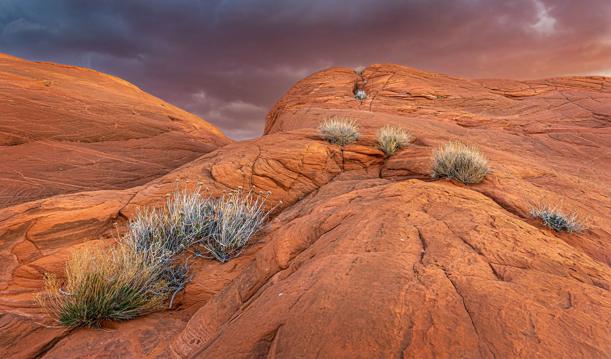 Top of Dance Hall Rock, GSENM, UT