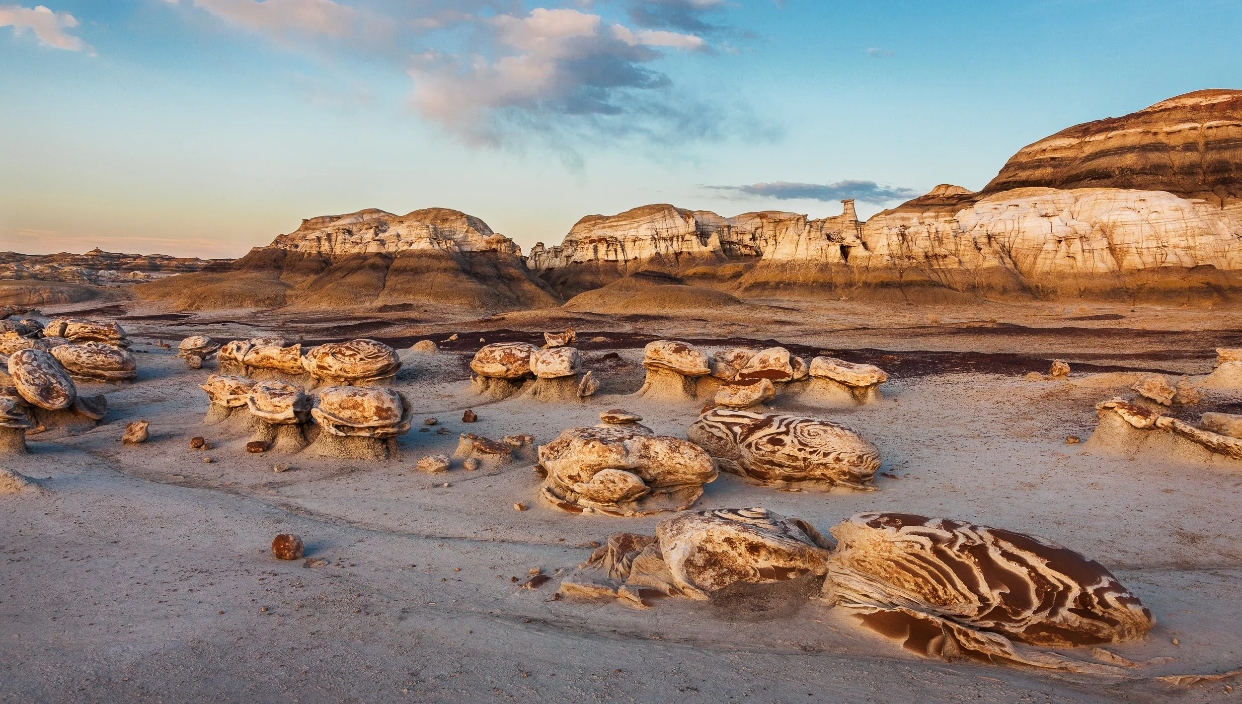 Dinosaur Eggs, Bisti Wilderness, NM