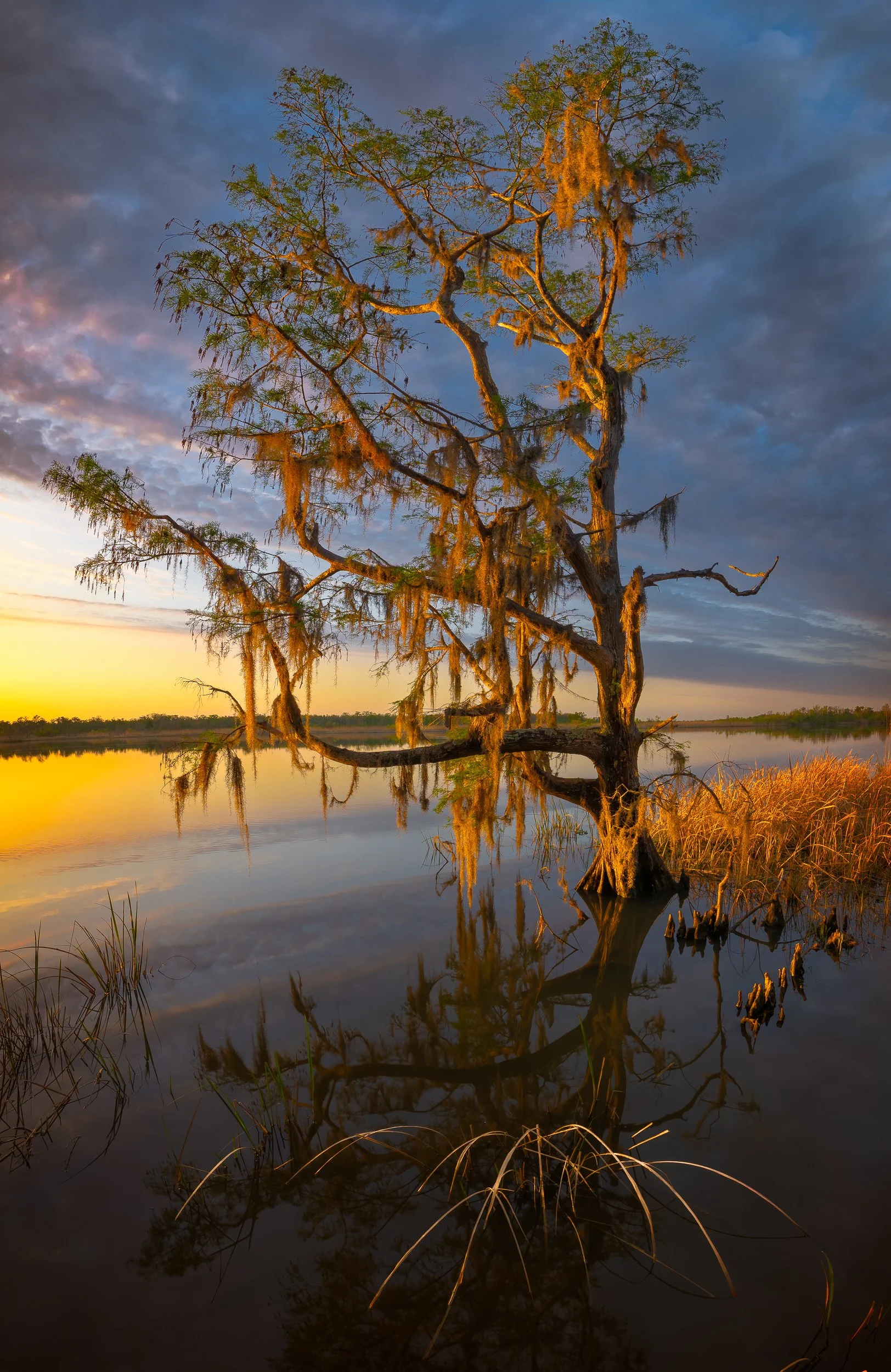Tensaw River, Al