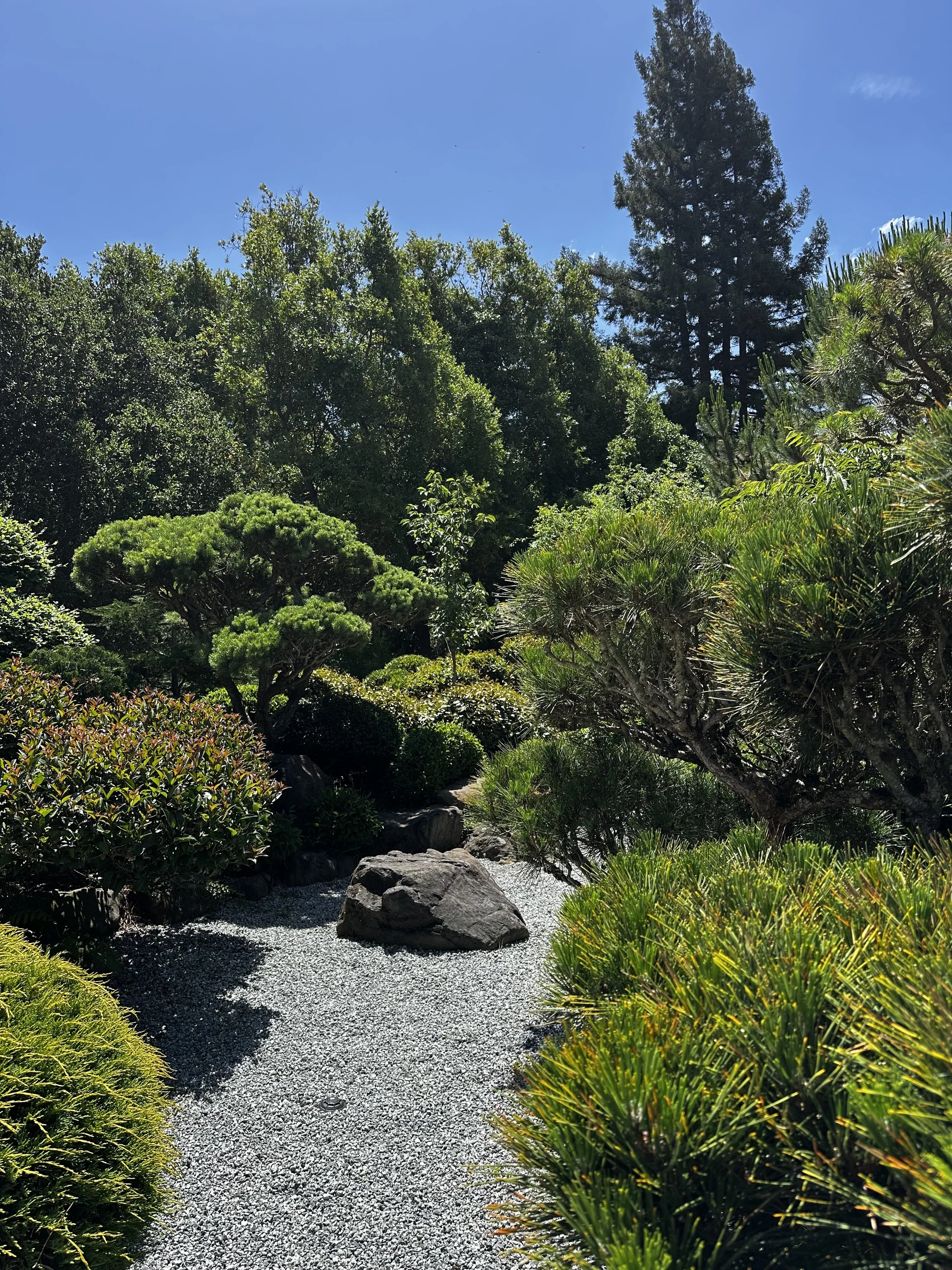 A lush garden with various green trees, bushes, and plants, featuring a gravel pathway and large rocks, under a bright blue sky. illustrating mindfulness and stress management in psychotherapy.