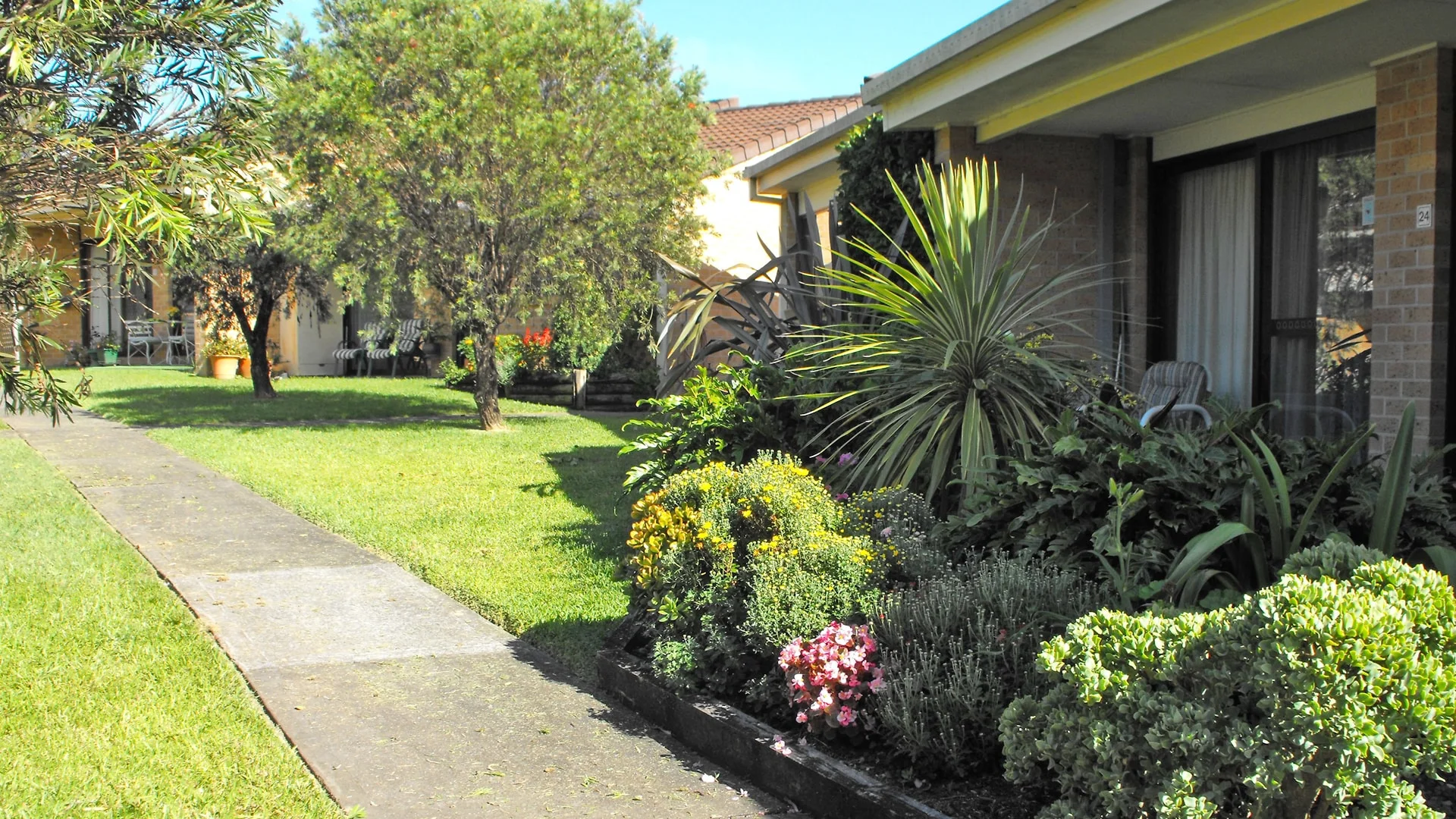 CC Drury - Jacaranda Avenue (Copy)