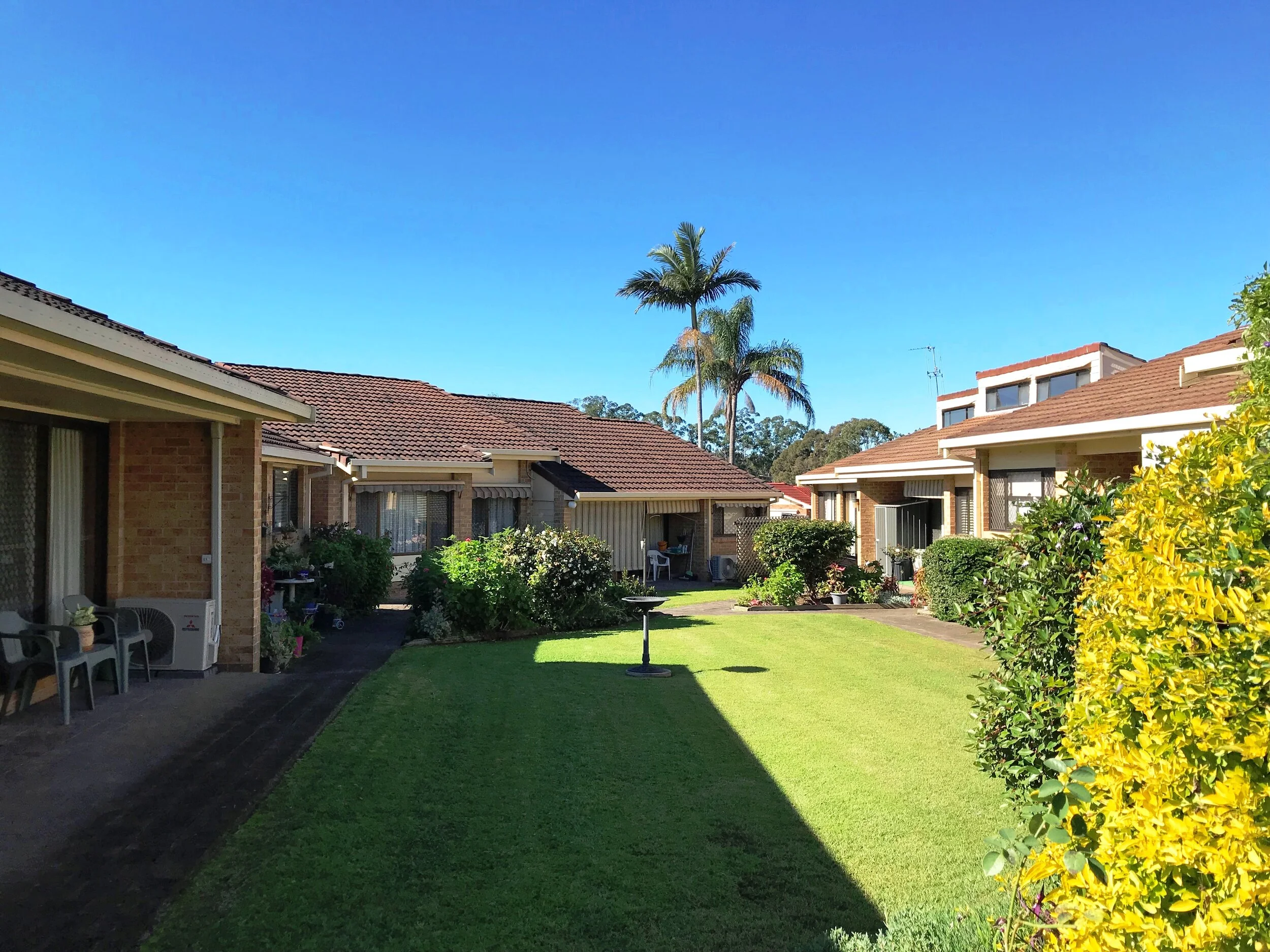 Jacaranda Avenue (Copy)