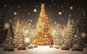 Merry Christmas to Residents, Staff and Volunteers