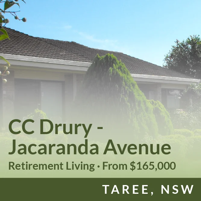 CC Drury - Jacaranda Avenue (Copy)
