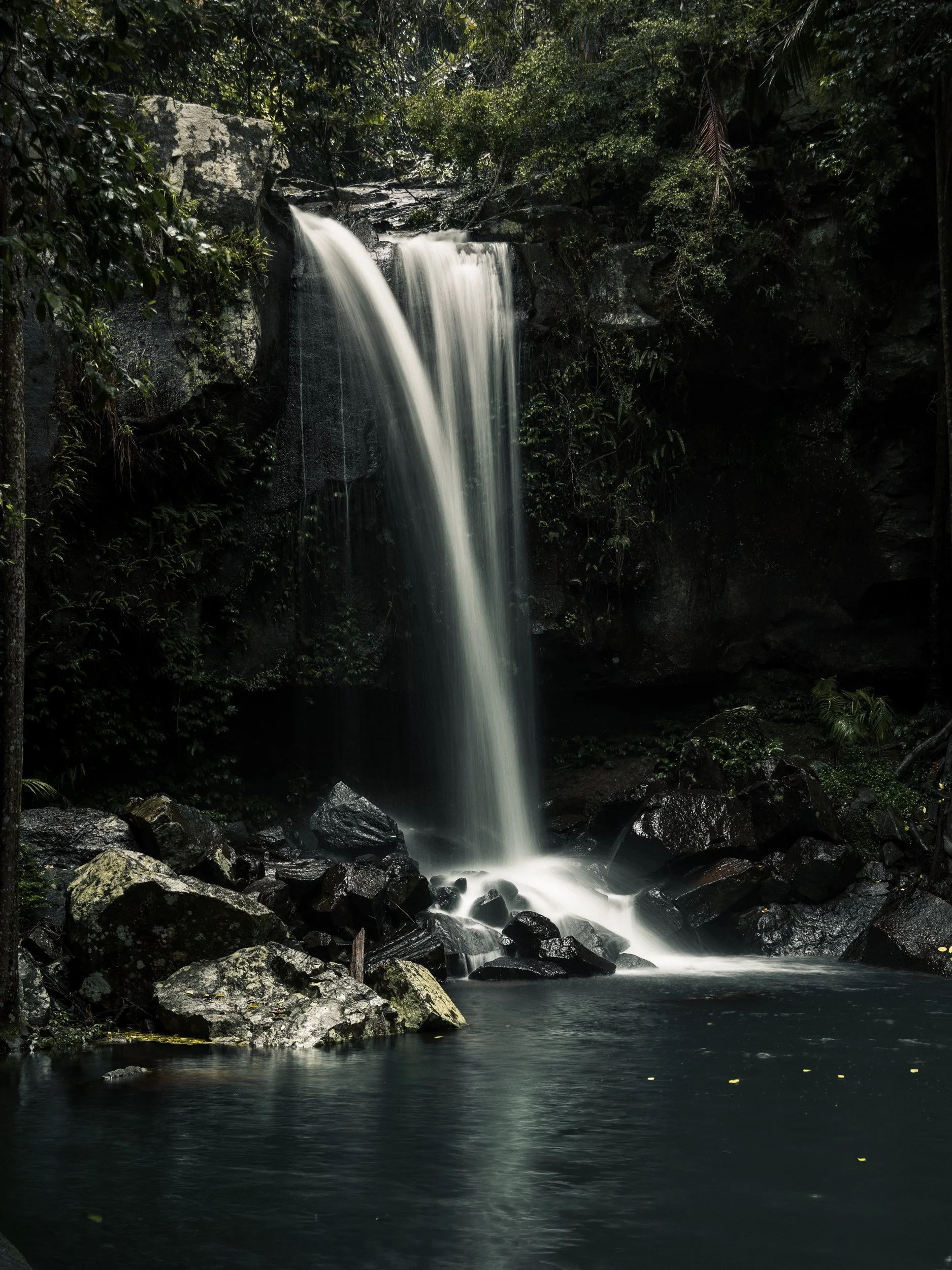 A waterfall flowing over rocks into a calm pool surrounded by lush green forest.