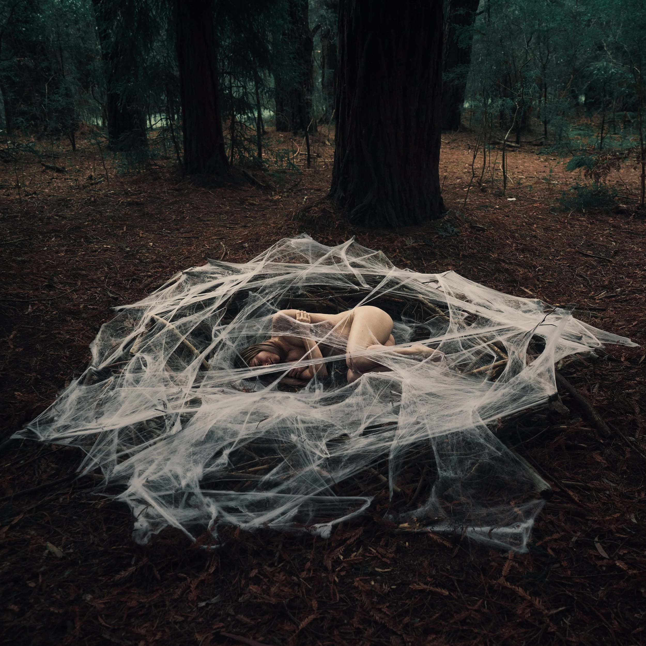A woman lying on the forest floor surrounded by spider webs with large trees in the background.