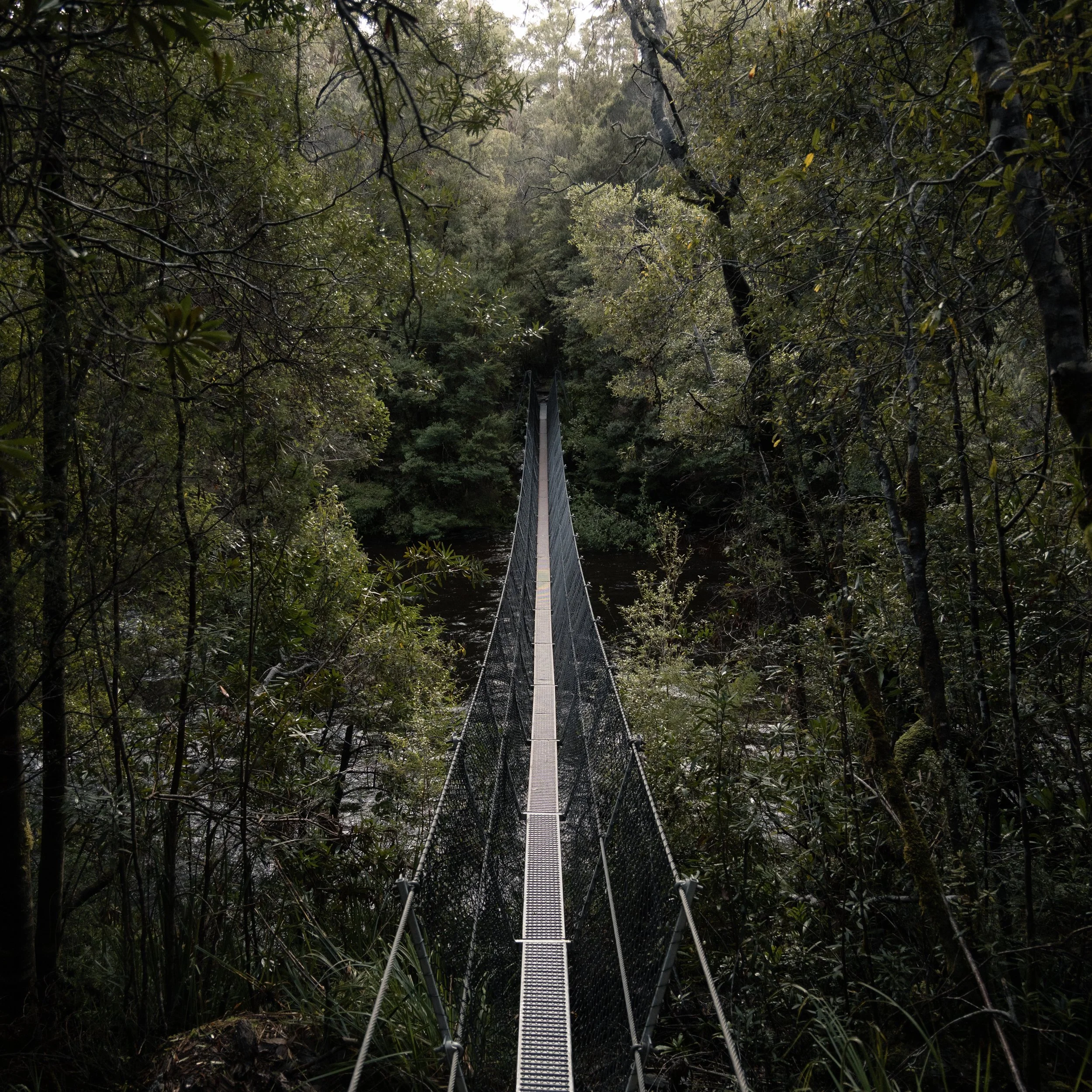 View of a narrow suspension bridge crossing a river, surrounded by lush green trees, with a dense forest in the background.