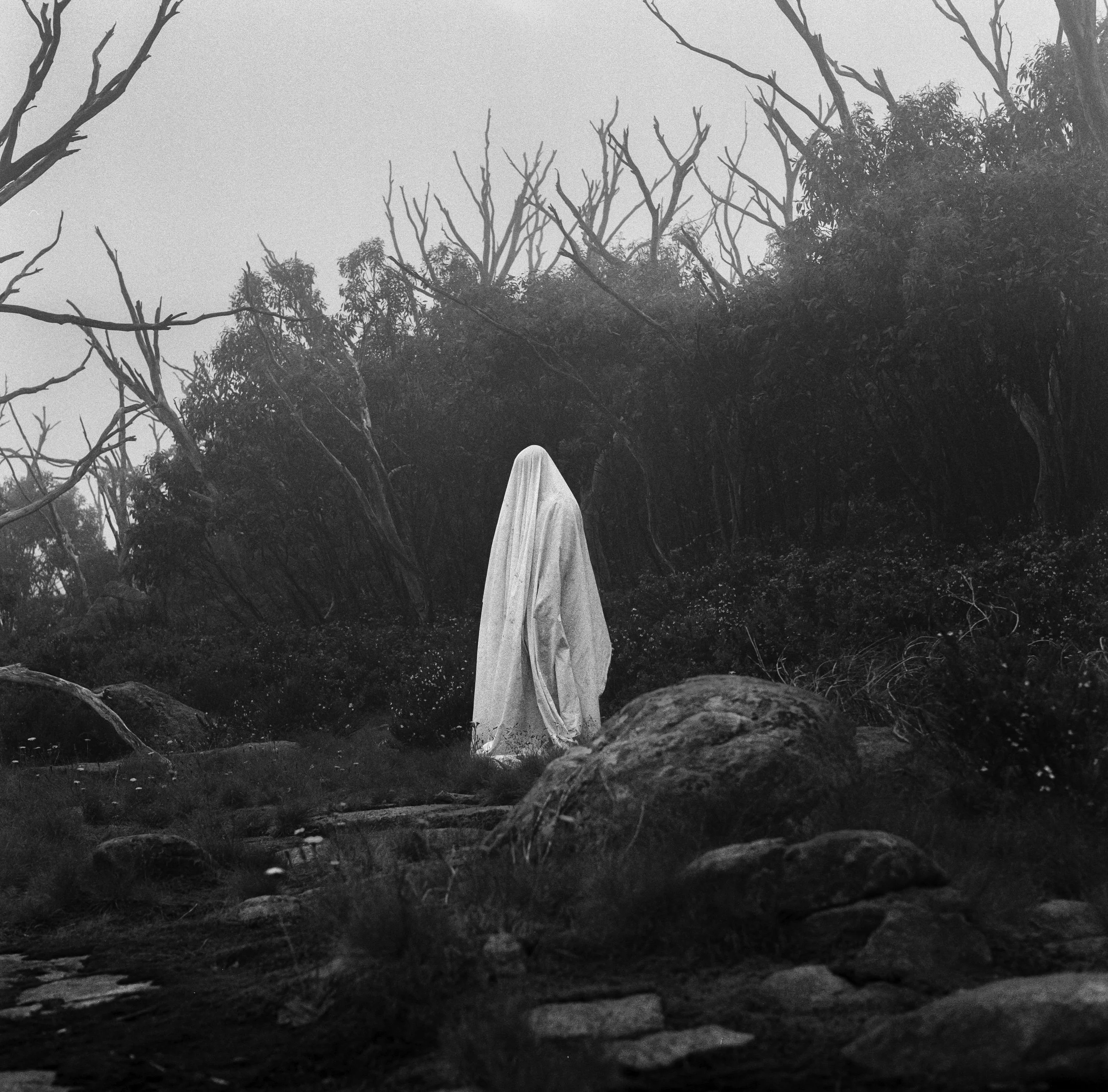 A black and white image of a woods or forest with tall, leafless trees and bushes. There is a tent in the center of the image with a person's head visible at the bottom of the tent, indicating someone is inside. The sky appears cloudy or foggy.