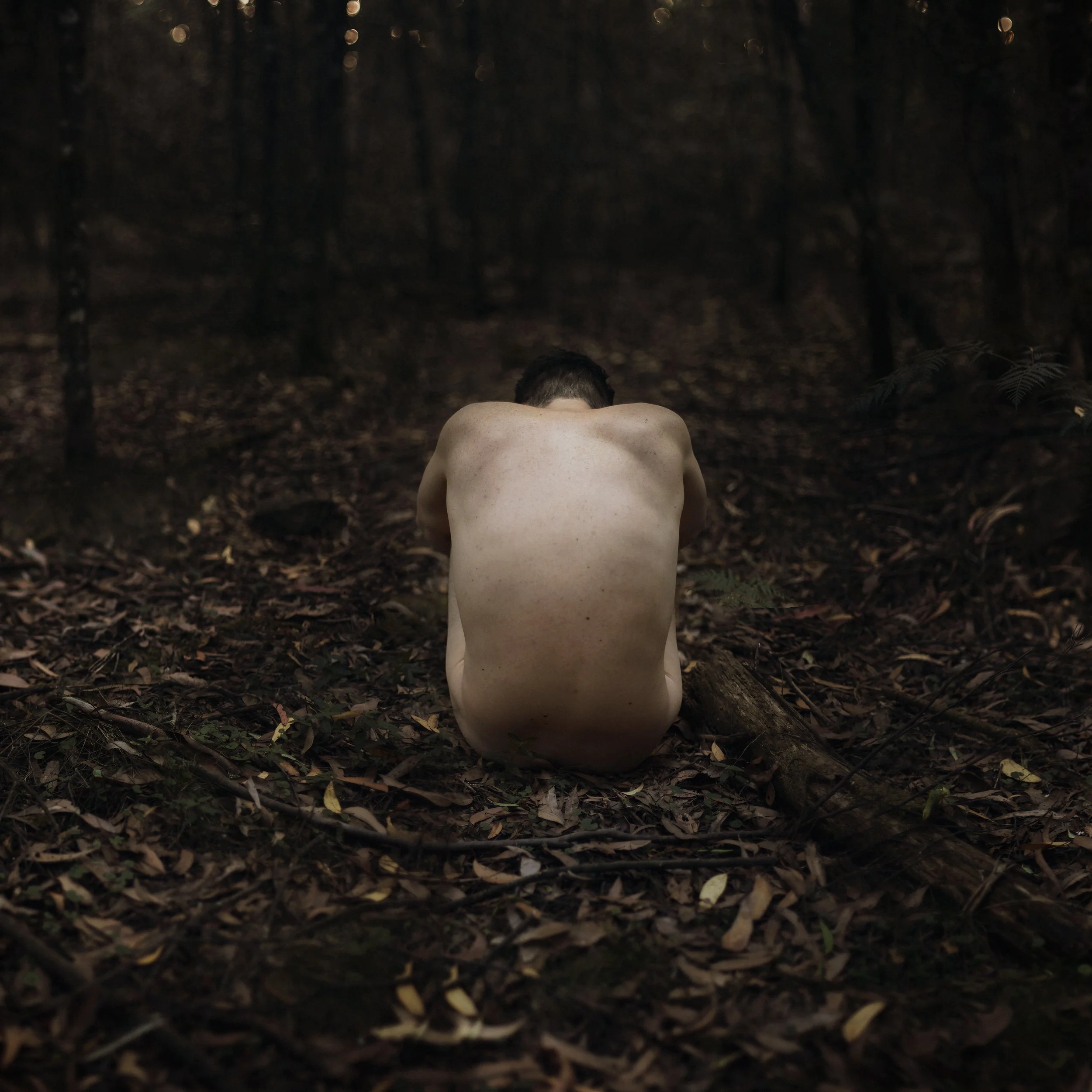 A person with short dark hair and no shirt, seen from behind, sitting on a forest ground covered with leaves, in a dark wooded area.