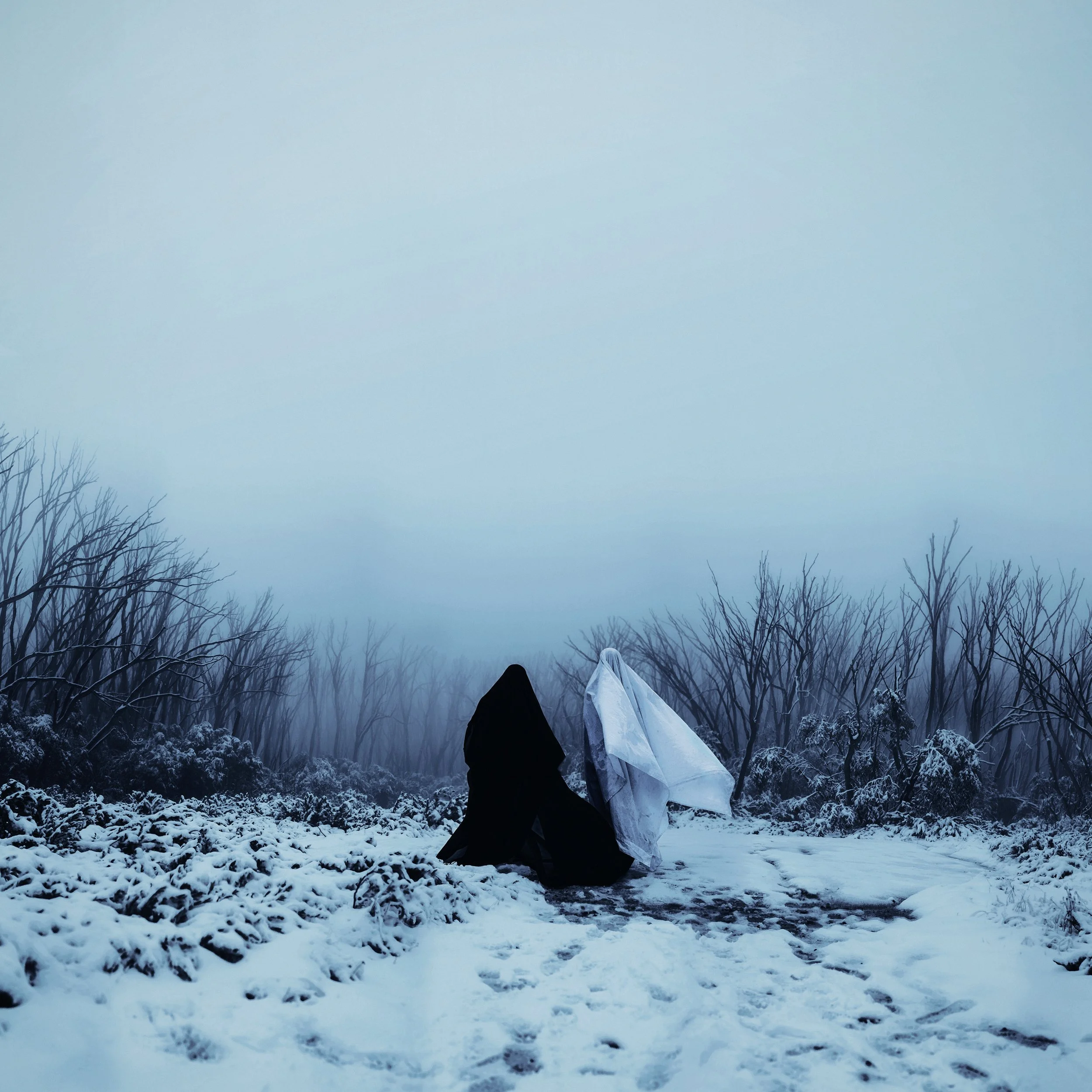 Snow-covered ground with leafless trees in the background and an unknown object wrapped in white fabric or plastic on the snow.