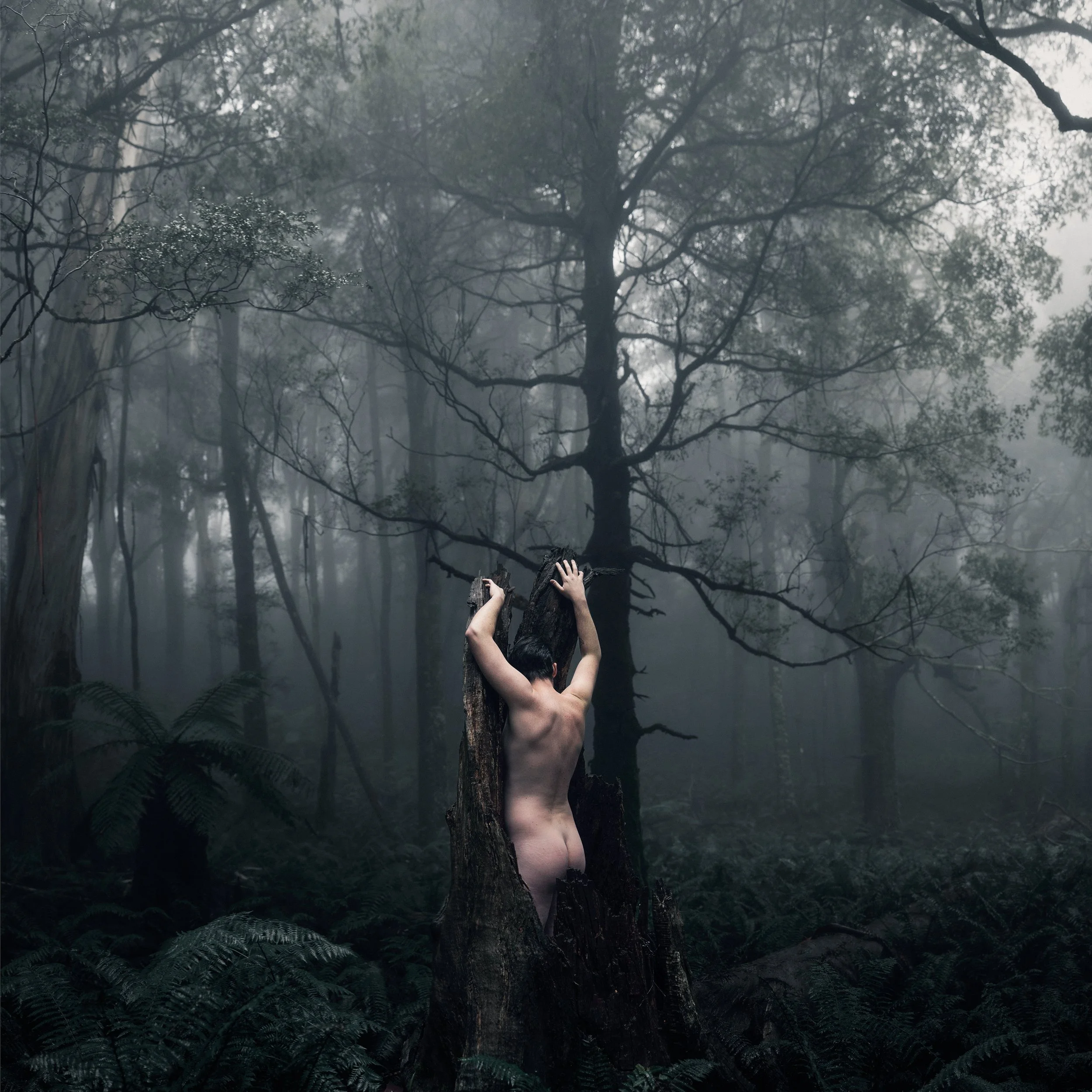 A person with bare back, arms raised, holding a broken tree branch in a foggy forest with dense trees and fern plants.
