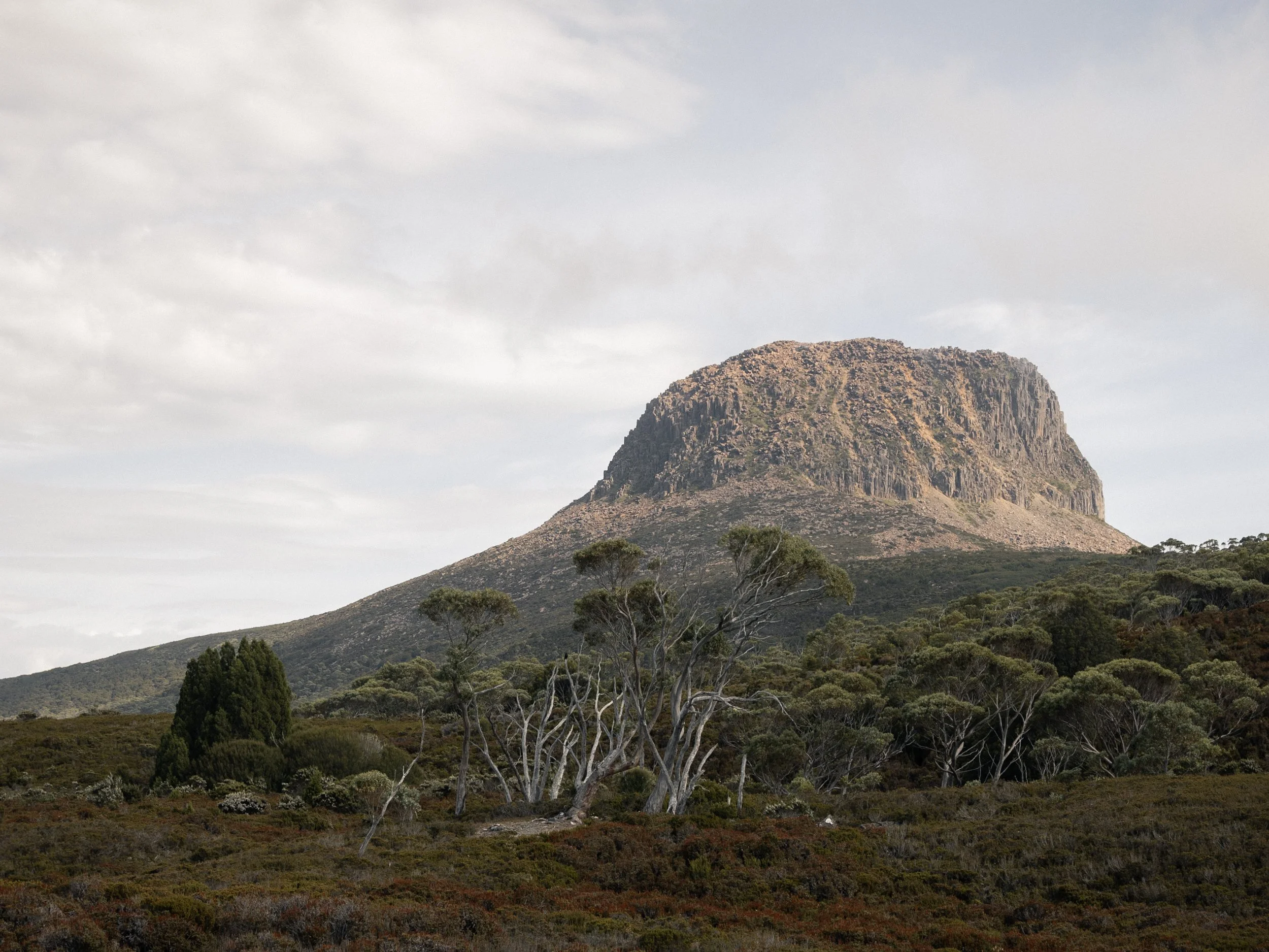 A large rocky mountain with sparse vegetation, surrounded by green trees and bushland under a cloudy sky.