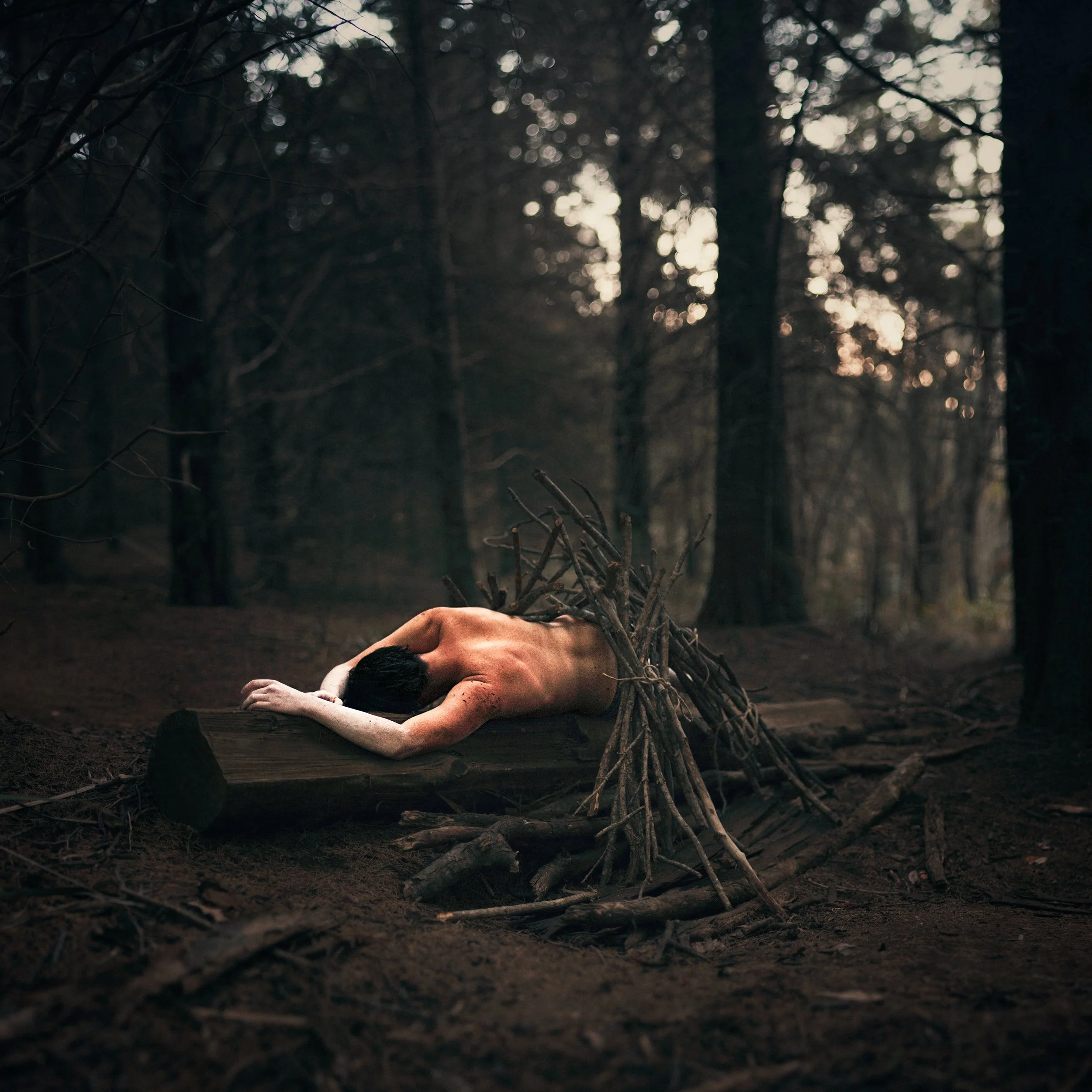 A person lying on the ground with an arm outstretched in a dark, dense forest, holding a bundle of sticks or twigs. The background shows trees and a dim, blurry light.