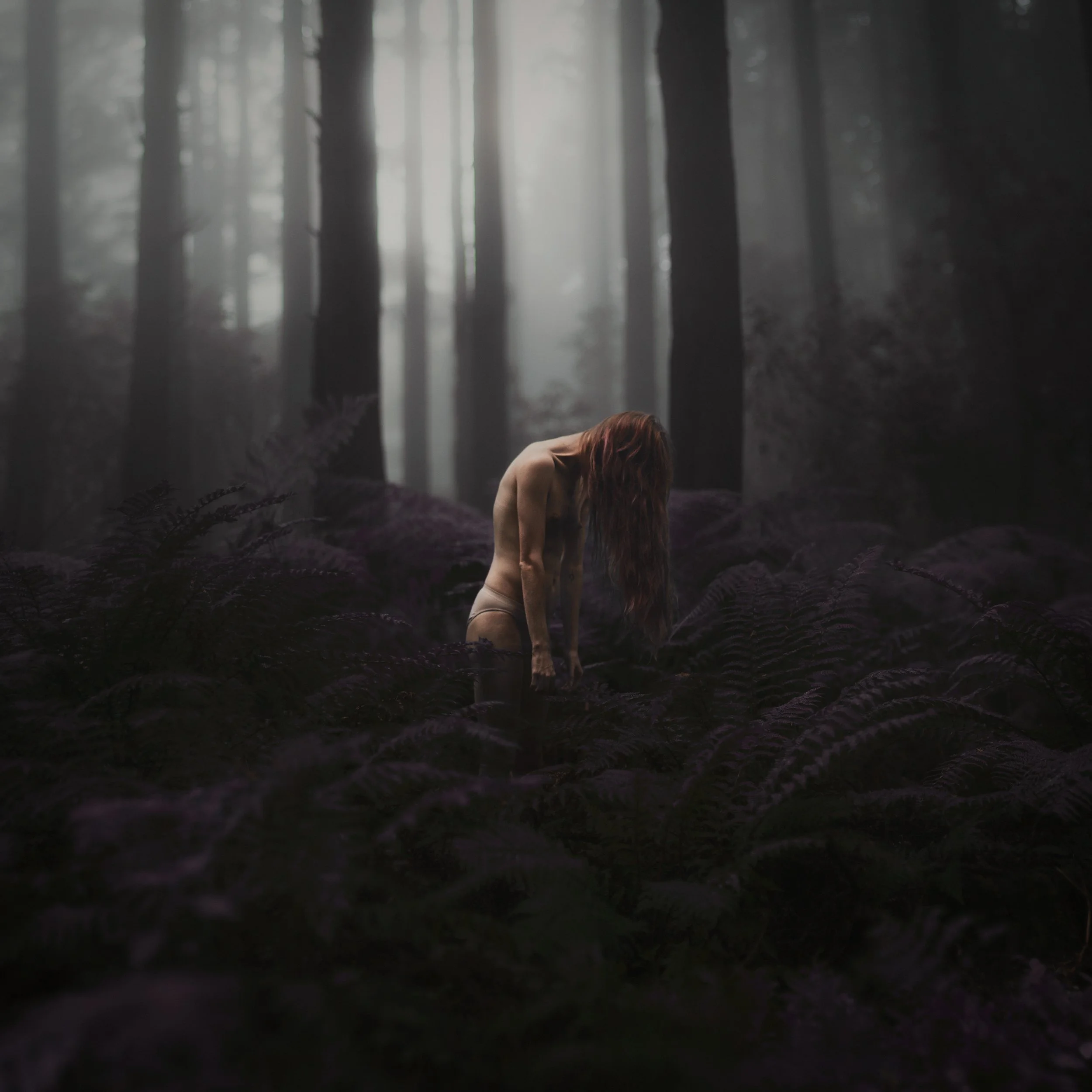 A woman with long red hair sitting on the ground in a foggy forest with tall, dark trees and purple moss on the ground.