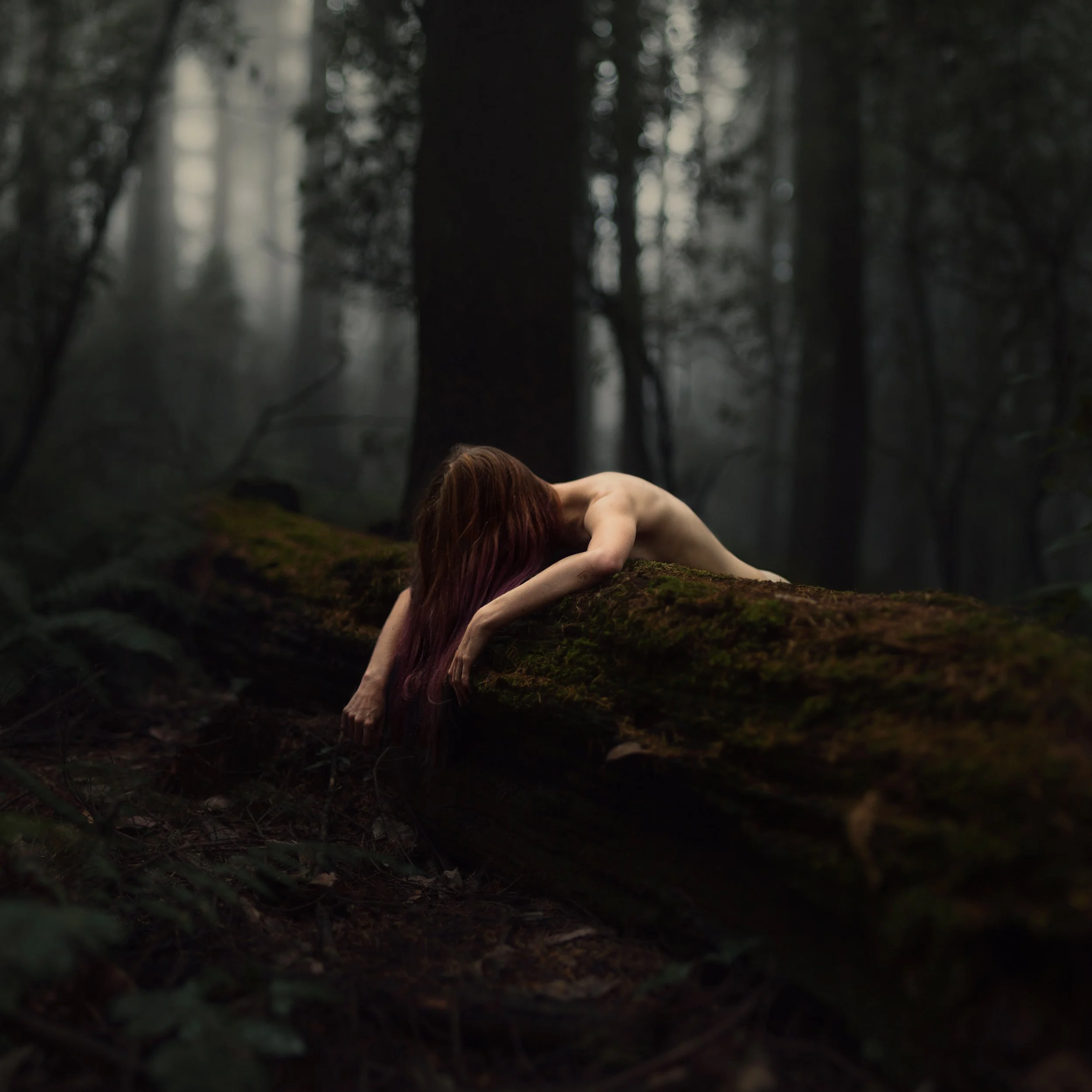 A woman with long red hair lying on the ground in a dense, dark forest with tall trees and foggy atmosphere.