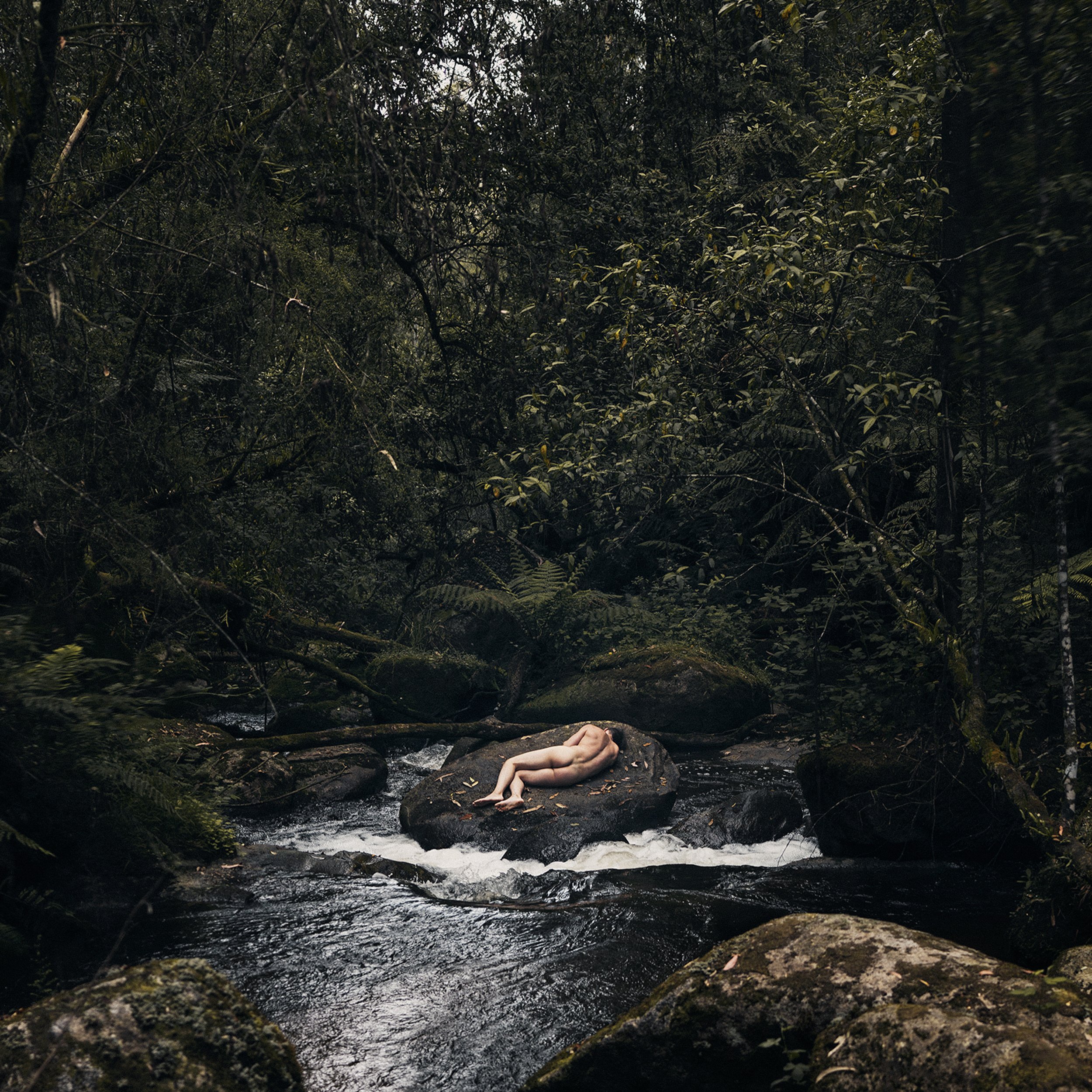 A nude person lying on their side on a rock in a forest surrounded by dense trees and greenery.