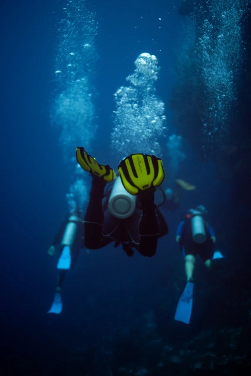 One Ferry, Two Dives