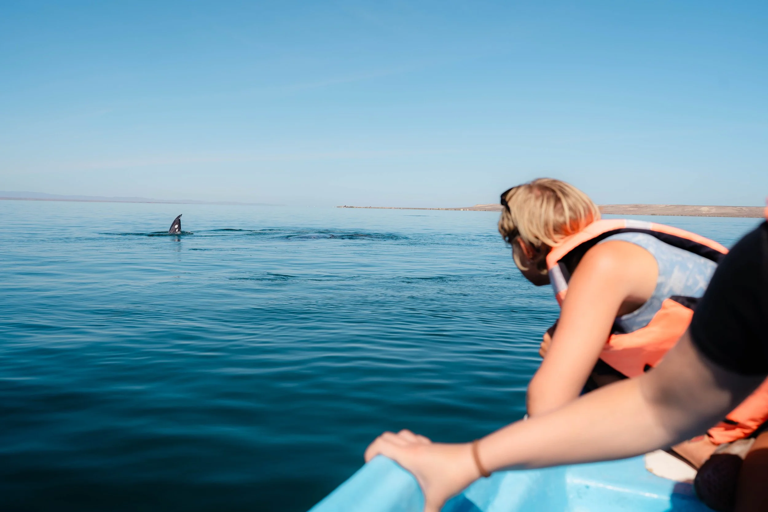 Whale-15.jpg