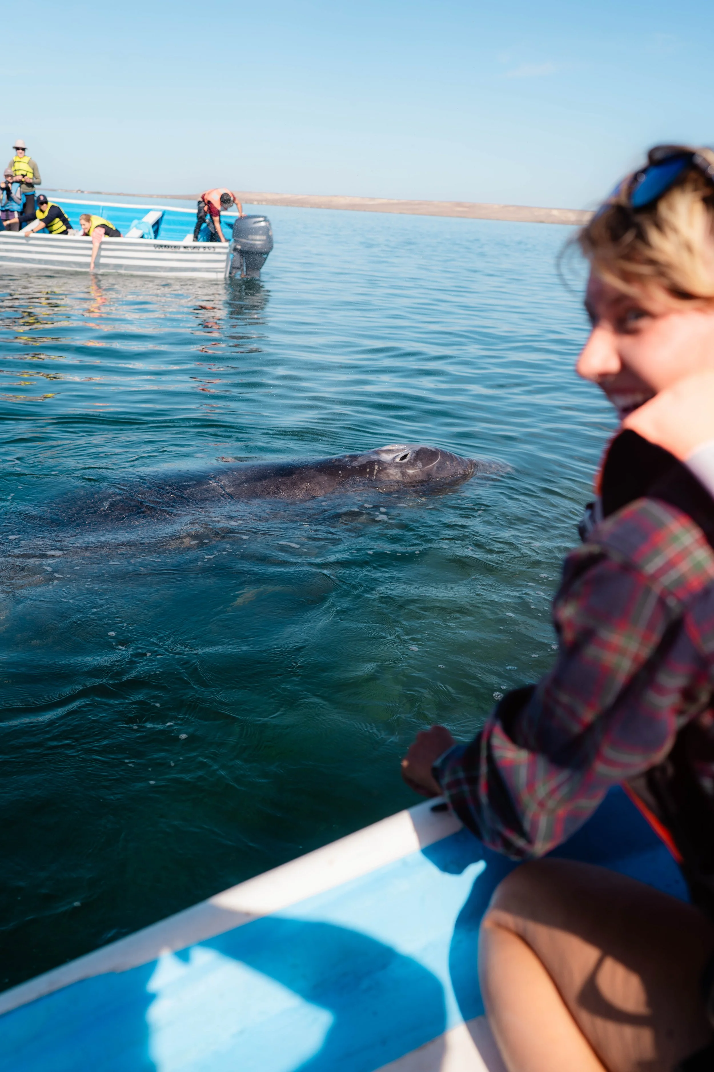 Whale-12.jpg