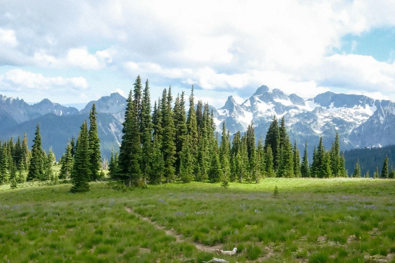 rainier-july-342 Large.jpeg