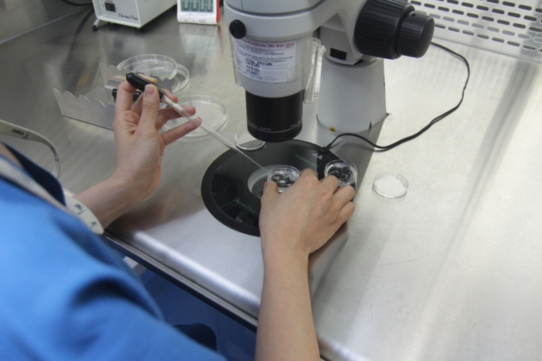 Person working with petri dishes and a microscope in a laboratory setting.