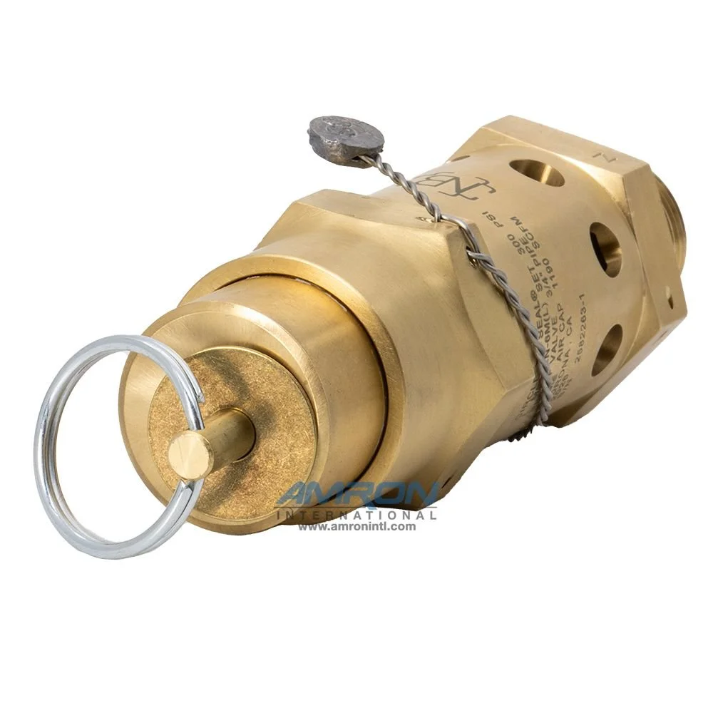 m5132n-6ml-300asme00475_2.jpg