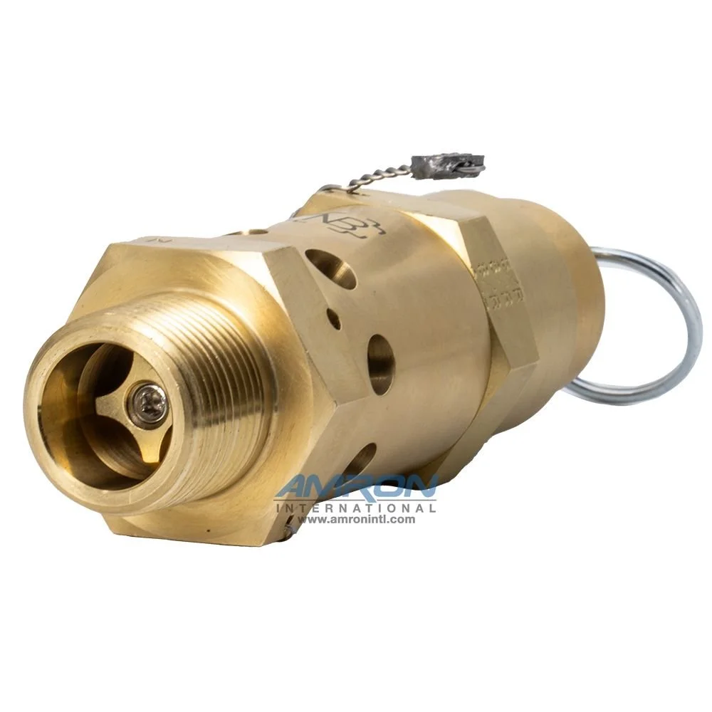 m5132n-6ml-300asme00474_2.jpg
