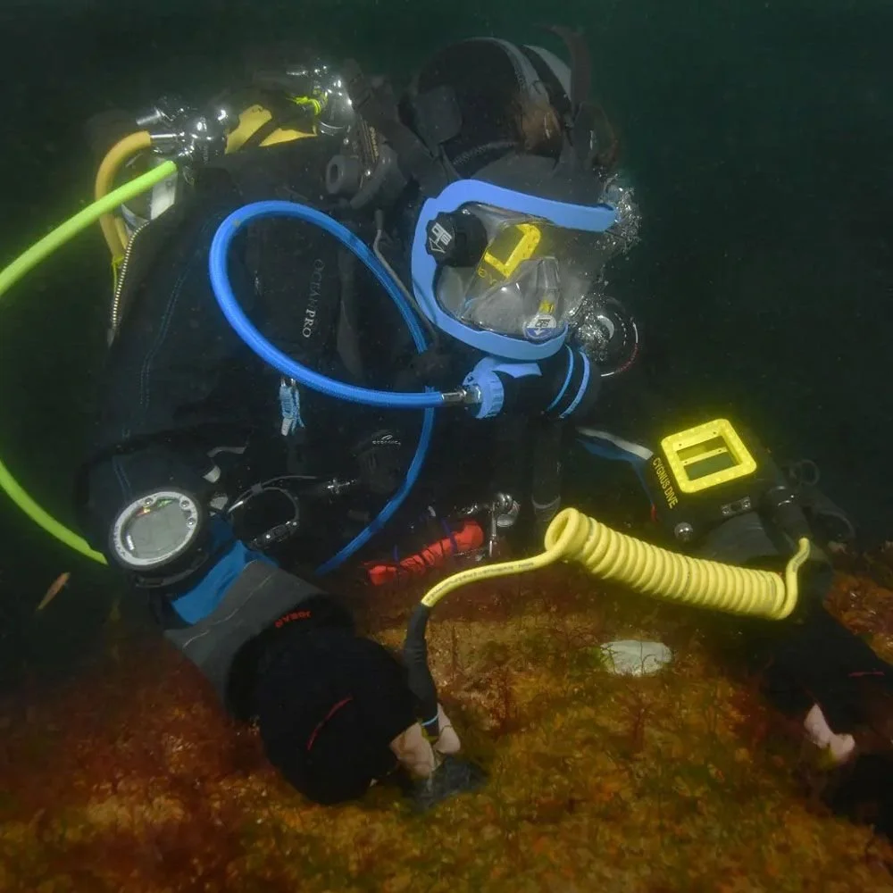 cyg-001-7200-3-dive.image8.jpg