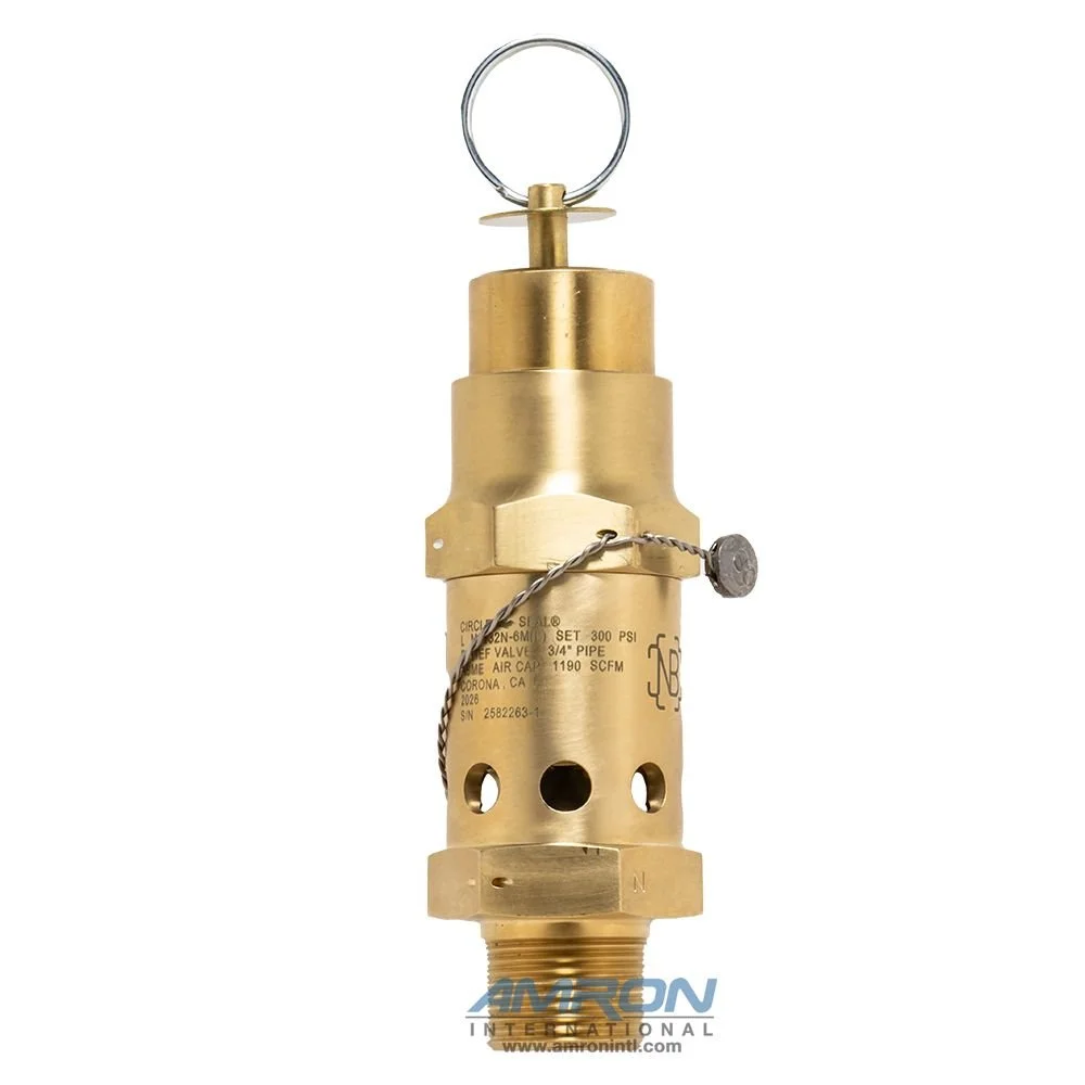 m5132n-6ml-300asme00472_2.jpg
