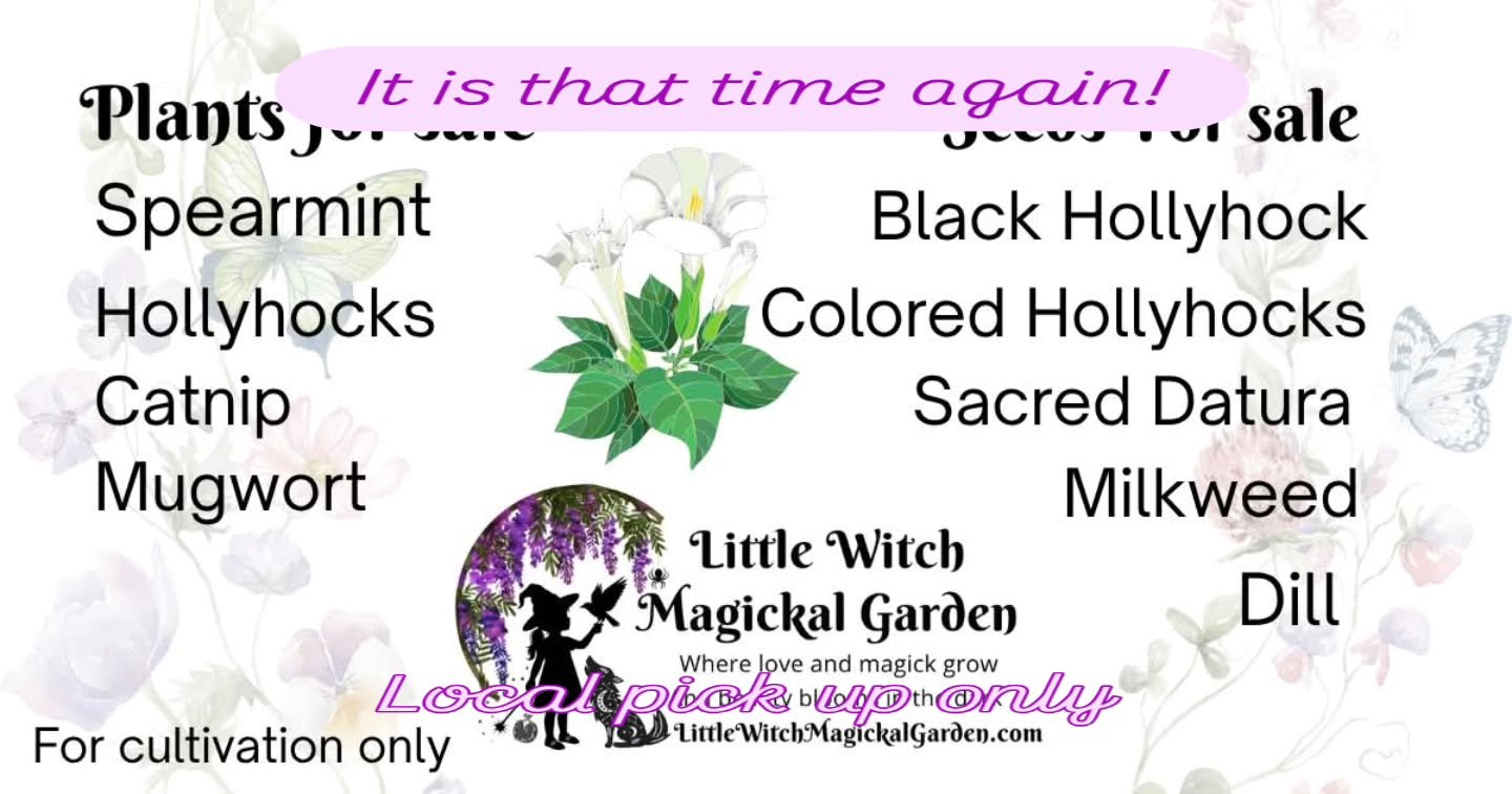 #LittleWitchMagickalGarden