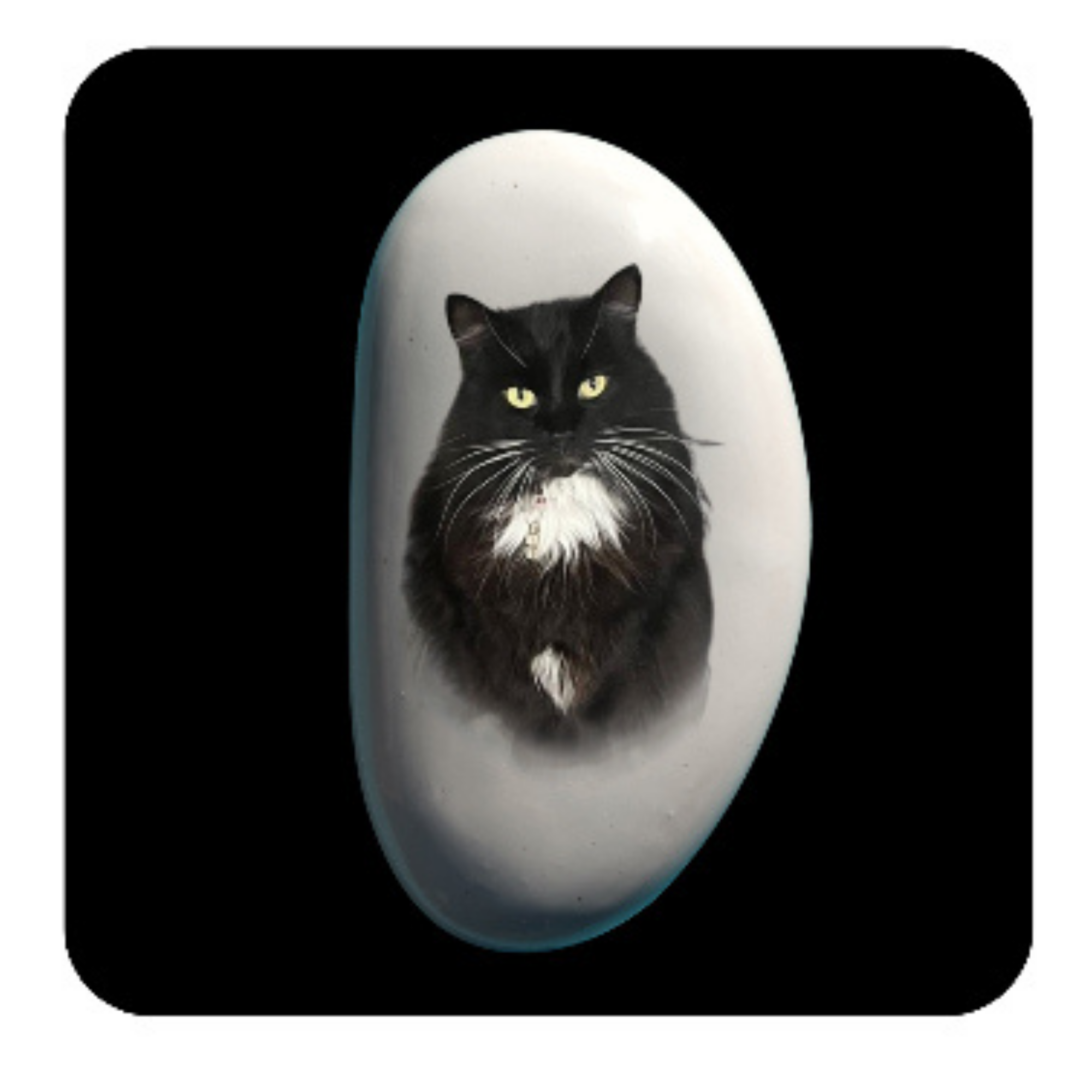 Pet Pebbles
