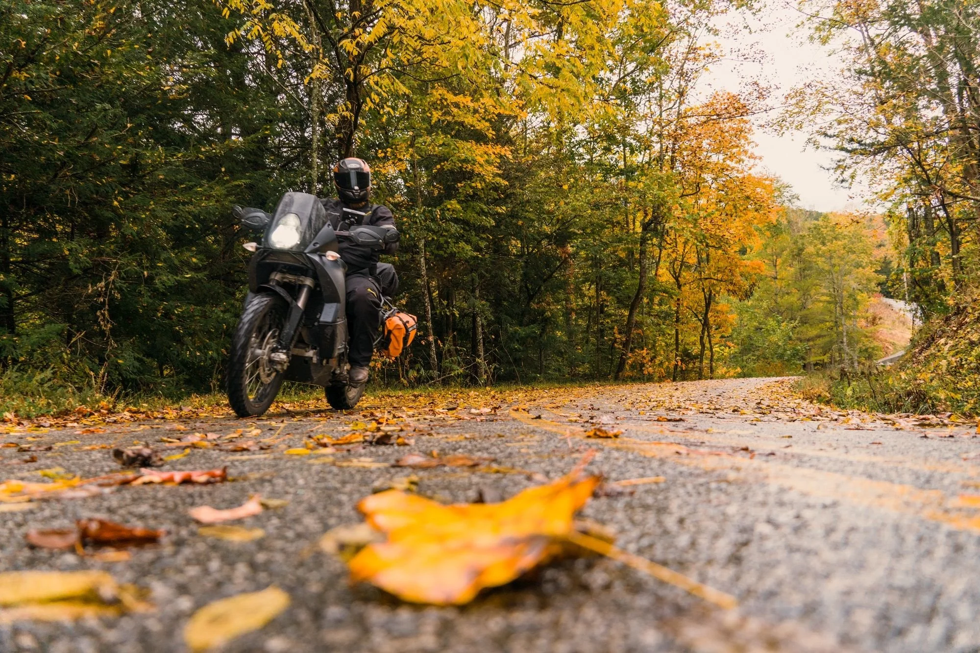 Ride Through Autumn. Become a Better Rider.