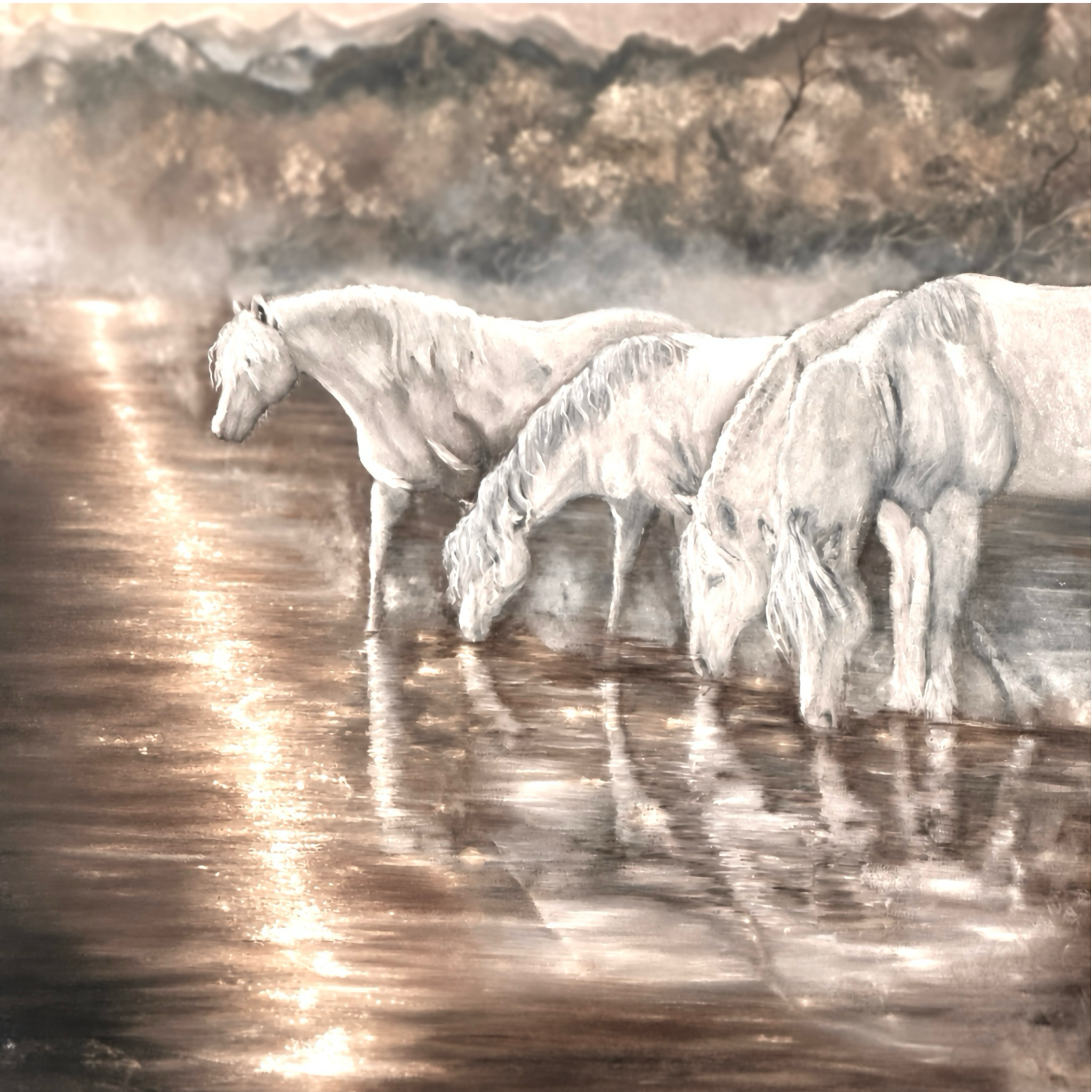 Bazaart_395D1D6B-58F8-4431-A981-F0354FD8B43D.PNG