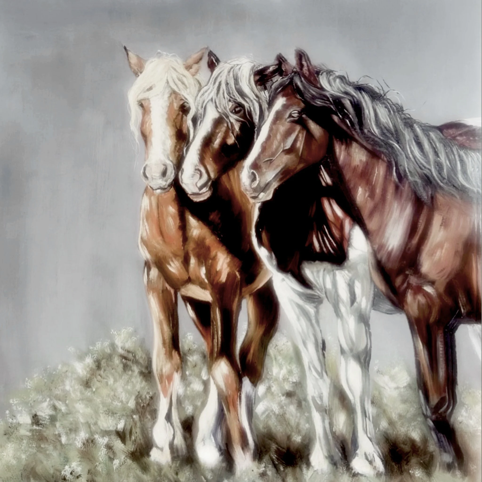 Bazaart_15D7BE86-3876-4638-B86C-A12EA5752614.jpg