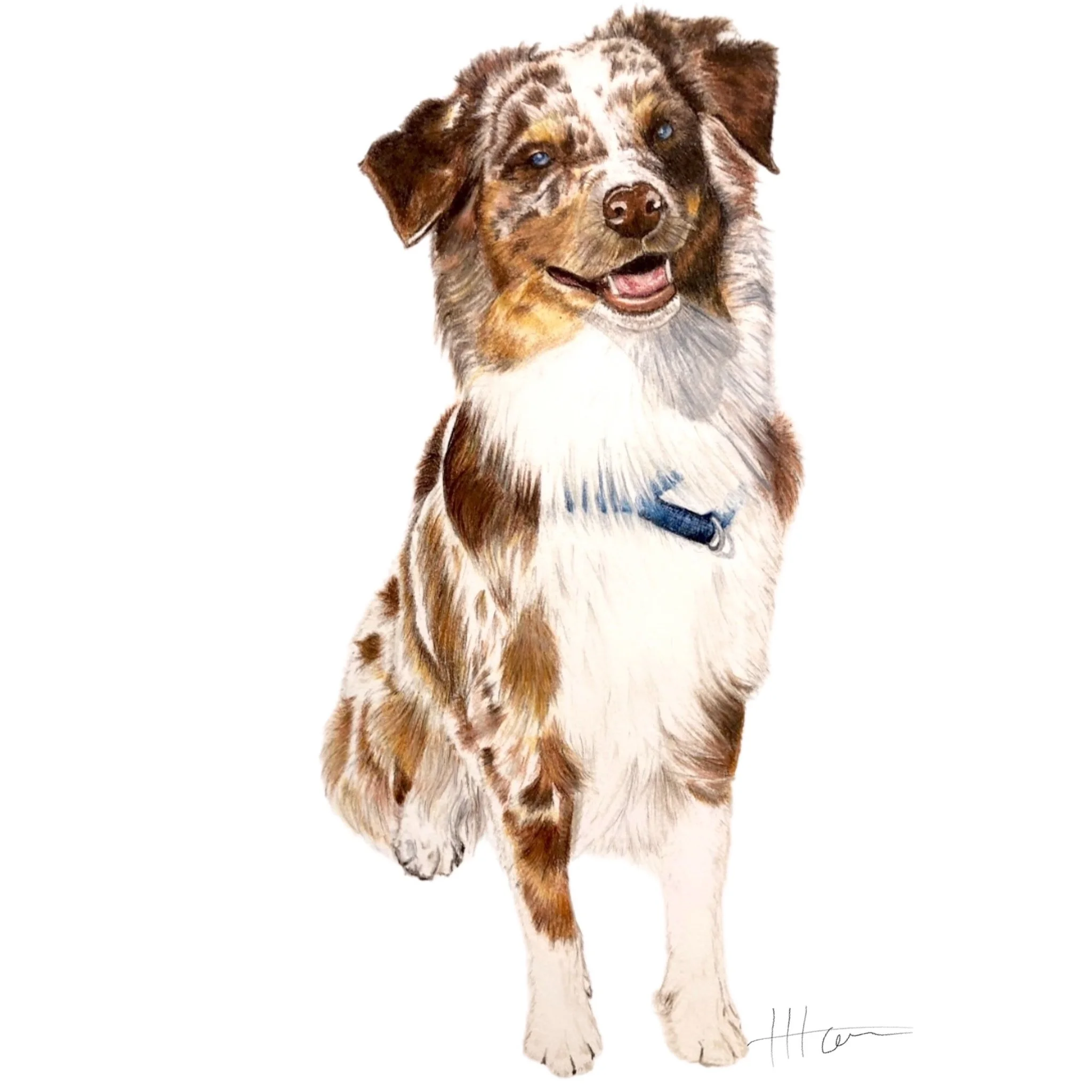 Watercolor painting of a happy Australian Shepherd puppy with multicolored fur and blue eyes.