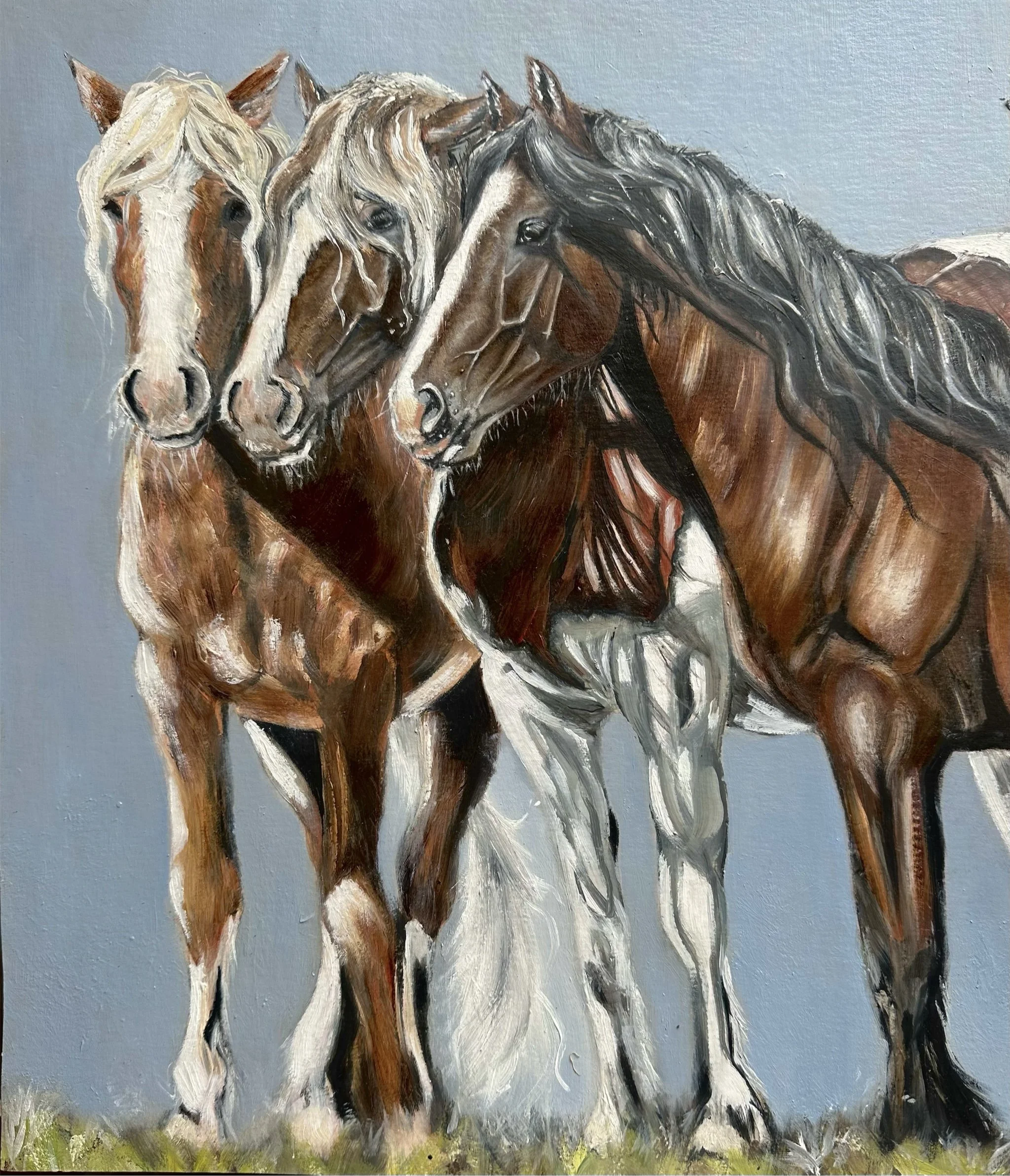 Montana Mustangs 1.jpeg
