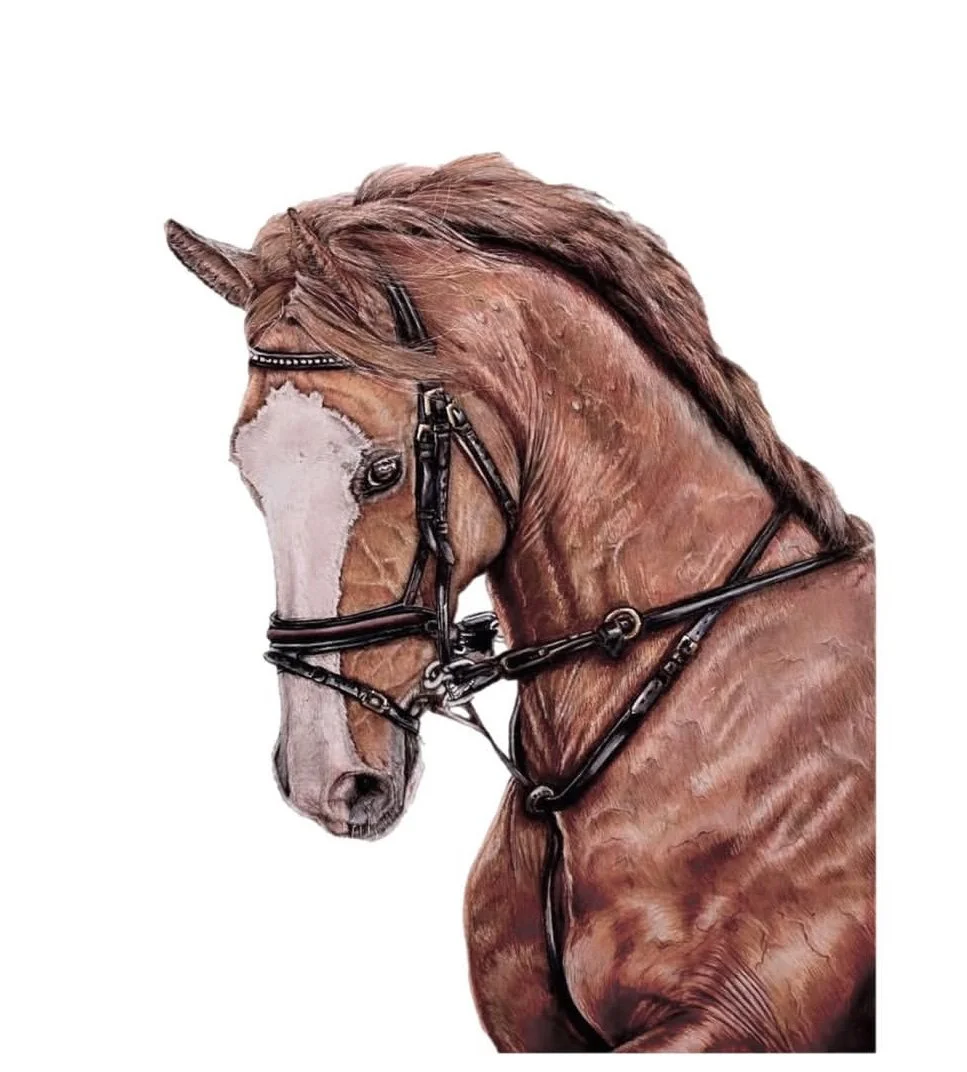 pet portrait commission | HARRIET ALICE TAYLOR