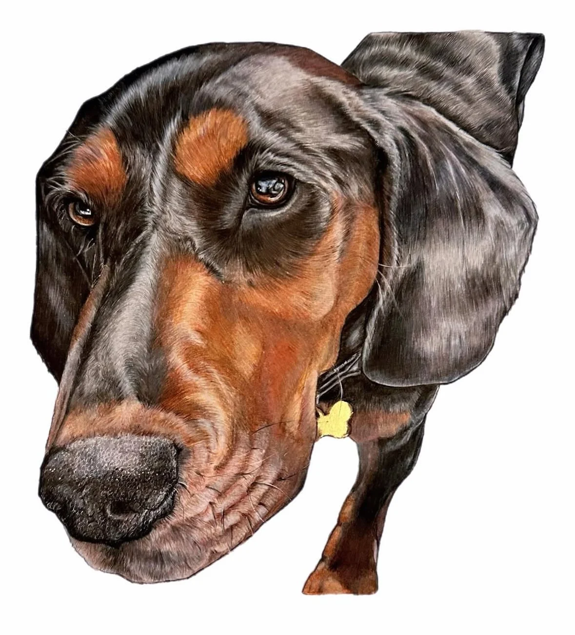 pet portrait commission | HARRIET ALICE TAYLOR