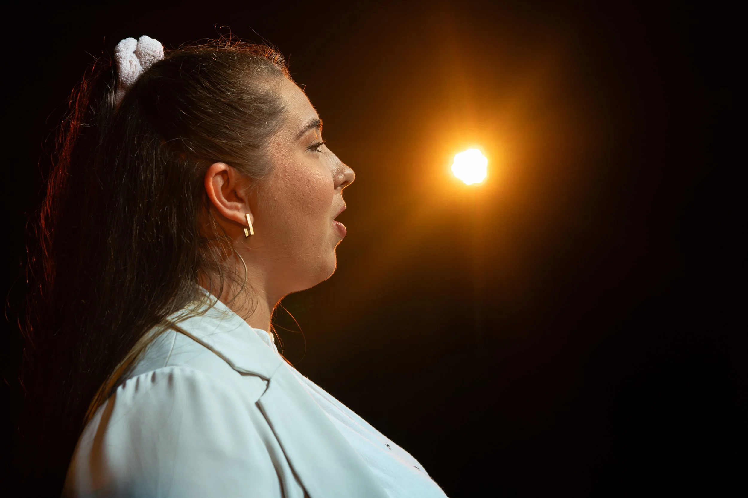 Elegies 2026-27.jpg